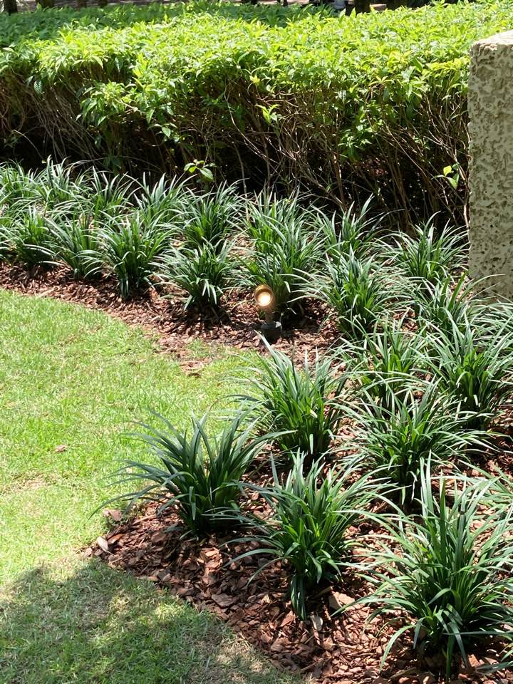 Coral Gables, FL - Installing and repairing landscaping lighting Coral Gables, FL - Installing and repairing landscaping lighting