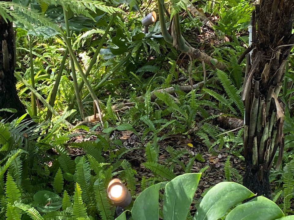 Coral Gables, FL - Installing landscape lights Coral Gables, FL - Installing landscape lights