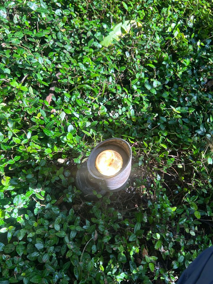 Changed out bulbs and fixed landscaping wires 