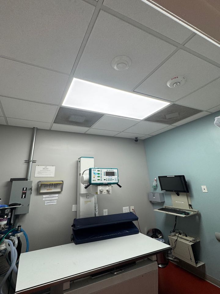 Fixing light at animal hospital 