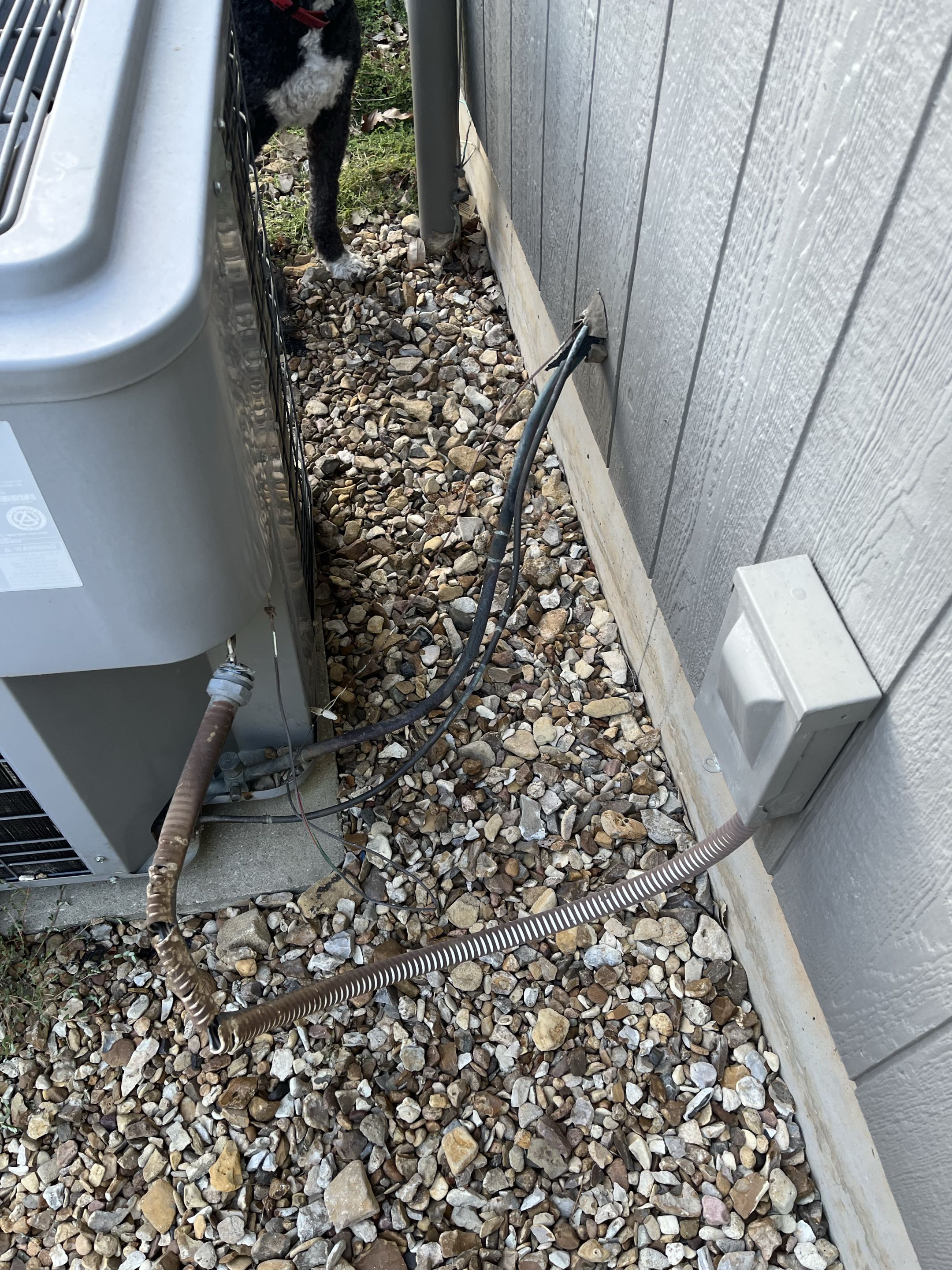 Repairing some wiring that a puppy chewed up in Topeka Kansas 
