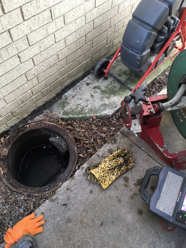 Sewer cleaning 