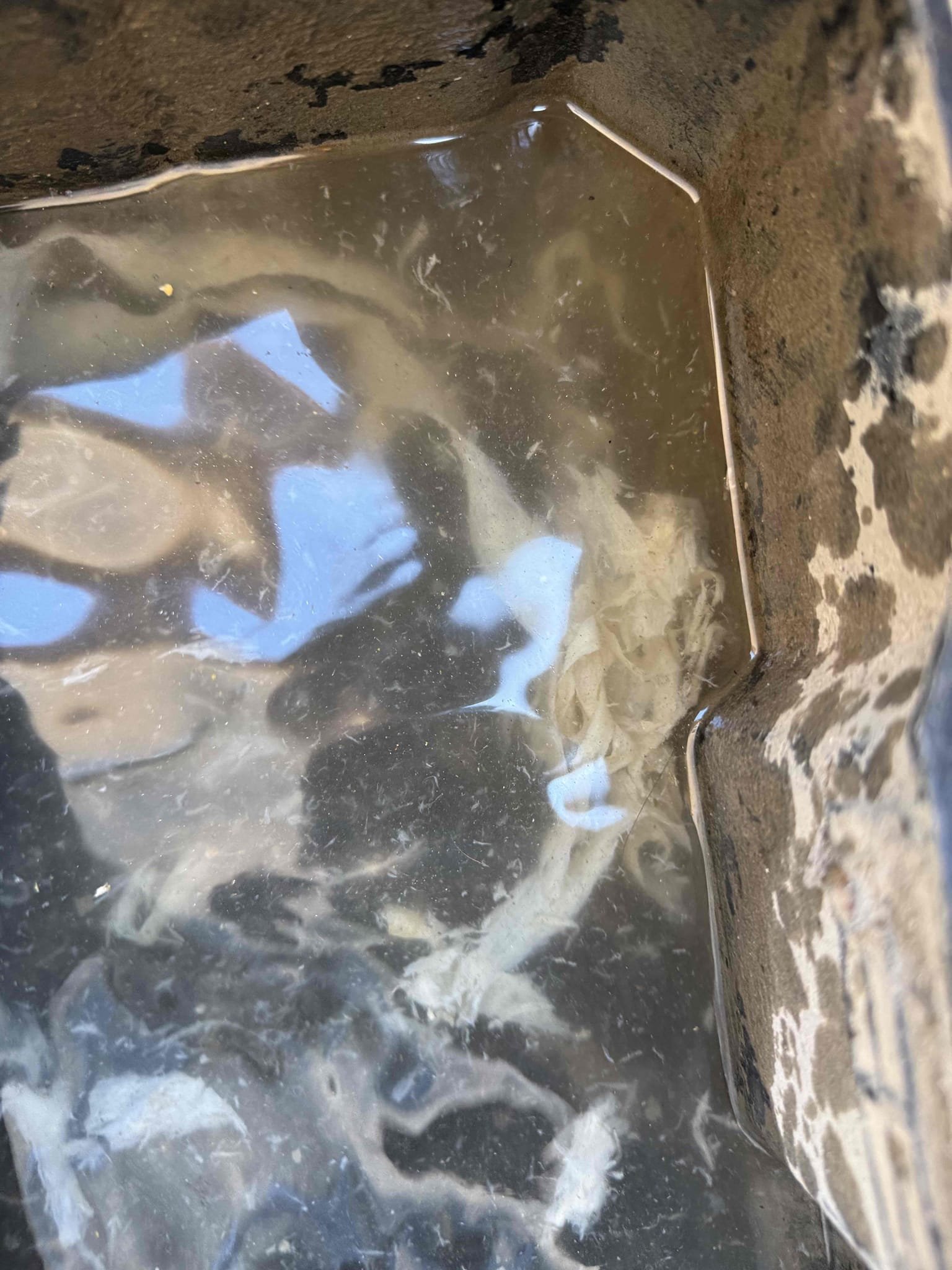 Checked system and all load were running, fan speed on max speed, new filter is clean, new coil is clean, and ducting is in good shape. Getting a 23° split. Found float switch almost full. We cleared it out a month ago,  I noticed where jones valve is it would clear drain efficiently all past float switch and flat trap. Inspected float switch and had paper gunk blocking condensate from passing float switch properly. Also tons of paper looking material like wet toilet paper sucked out of termination point. With proper temperature split and charge, as well as proper airflow and nothing causing low airflow I determined floats switch would engage and shut off condenser intermittently, and any condensate backed up in pan would be reintroduced into airstream increasing indoor humidity. Made sure float switch wasn’t blocked anymore and system can drain properly. 