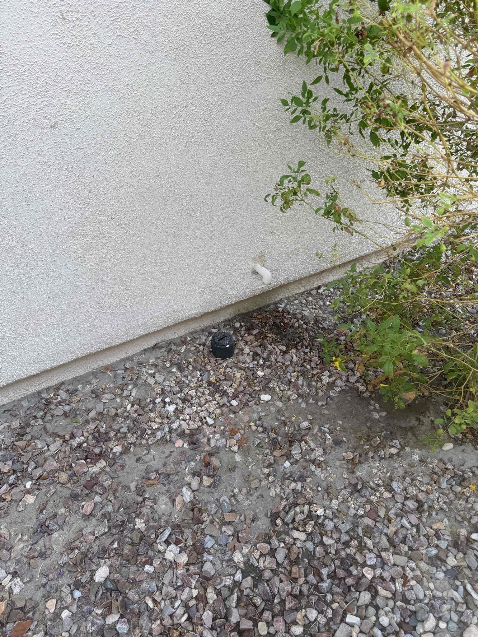 I Performed Maintenance on the Heating System. Also replaced a 20x30 and 2) 14x14 Filters. The system is a 2024 American Standard Heat Pump model located in the master closet attic and outside on the ground. I also flushed the condensate drain from the attic. Advised client about our extended labor warranty options, advised that client’s current two year labor warranty expires 12-11-26. Sent client estimate options for the extended labor warranty and client to advise. At the time of today’s maintenance visit the system checked out operational. Scheduled next maintenance visit online. 
