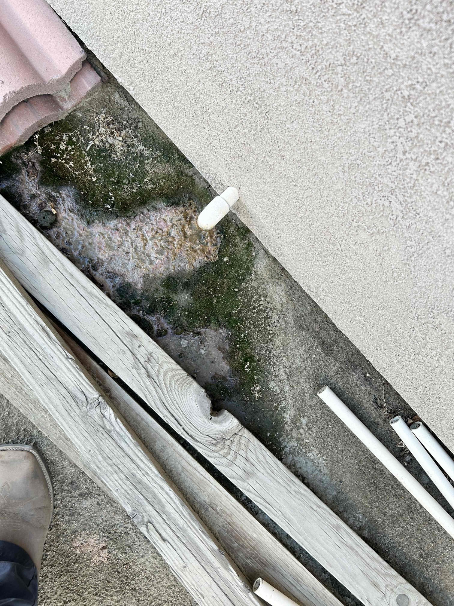 Performed annual maintenance on a 4-ton 2021 American Standard heating and cooling system.

* Replaced the 20 × 30 and 12 × 12 air filters.
* Checked thermostat operation and verified heating and cooling temperature ranges.
* Checked blower motor amperage.
* Inspected operation of the reversing valve, txv , and electrical components 
* Cleared the condensate drain to ensure proper drainage.
* Cycled the cooling system and compressor to verify proper operation.
* Checked the run capacitor.
* Discussed surge protection with the client. Mention to she had previously signed up for surge protection but does not currently have the equipment installed. She advised that she will wait on it for now.
* System was tested and is operating properly at the completion of servic