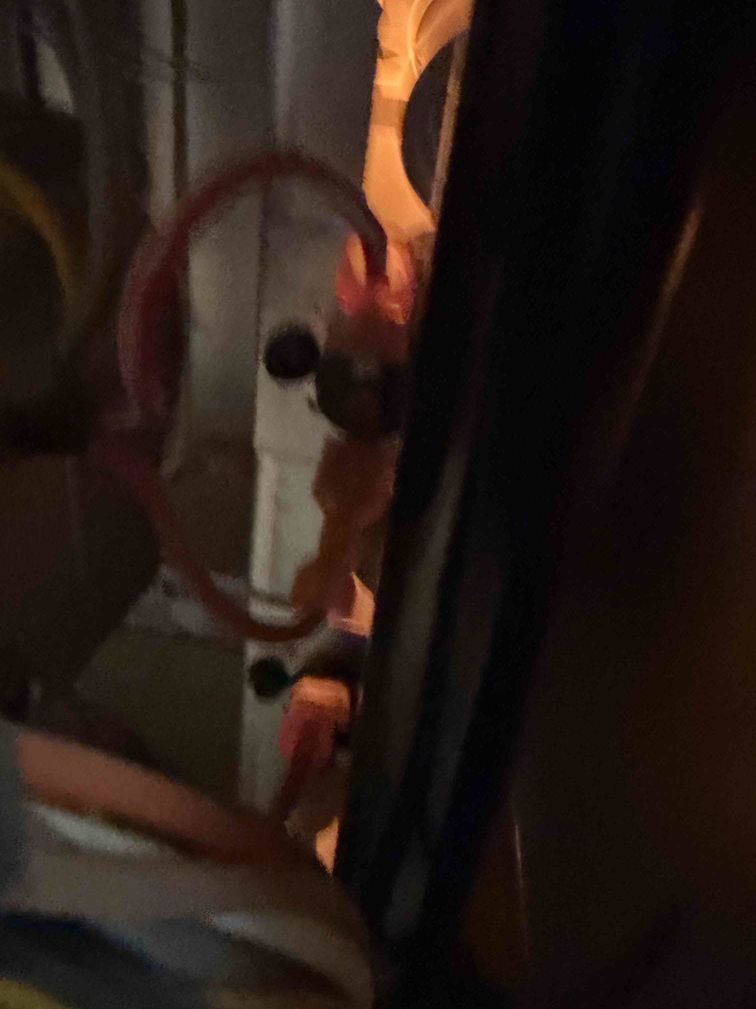 Performed an indoor safety  maintenance on 2 York furnaces. Filters located in hallway ceiling, attic access located on hallway, changed 2 20x20 1 16x16 filter, flushed condensation line, on fau followed sequence of operation, checked for amperage and voltage, checked for blower speed, check for any loose connections, check for carbon monoxide, check for temperature rise, check for capacitor, everything within range also cleared dust accumulated inside electrical component. Systems are working within specifications in heating at the time of maintenance.

