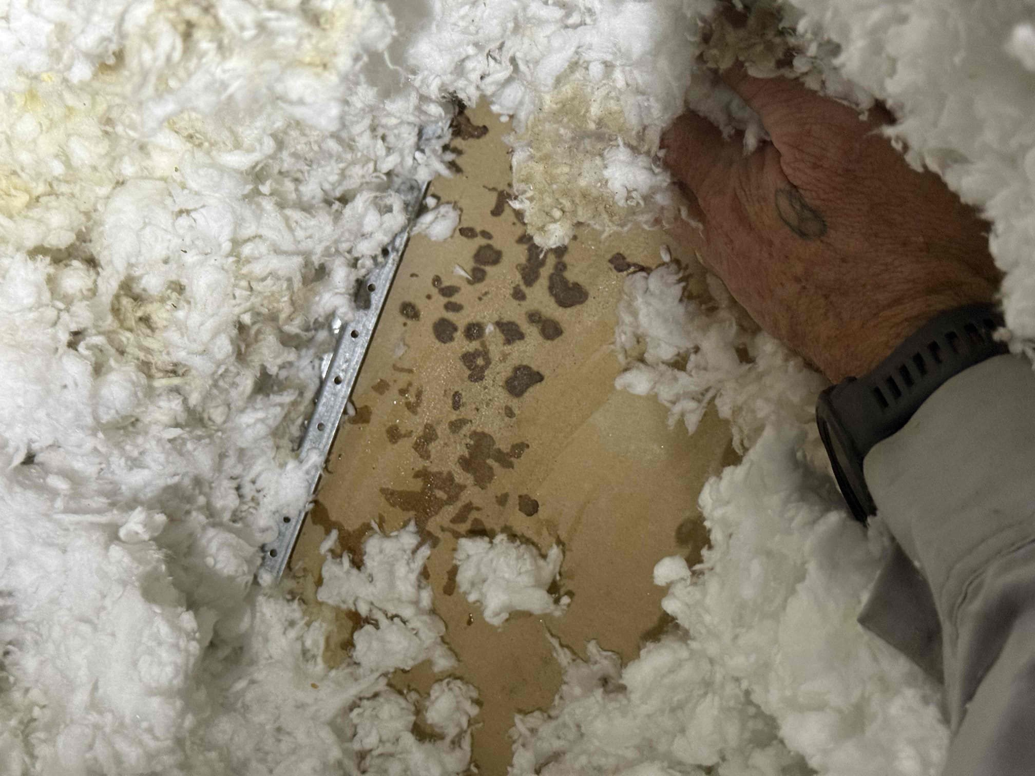 Found water stains in attic near bedroom supply vent and dried water stains on top of duct leading me to believe source of water entry was through roof. Some water spots weren’t near duct so the air conditioner did not cause any water damage. Recommended having a professional roofer or roof repair company come check it out. Did not see any water l8nes anywhere close in attic. Some parts of roof frame seemed to have water stains. Also recommended Hyde’s Family Comfort Club Maintenance plan, homeowner to advise because she currently has an hvac tech who takes care of her property. Left brochure and went over the 3 plans , informing the silver plan would be best option for her. Paid by check. 