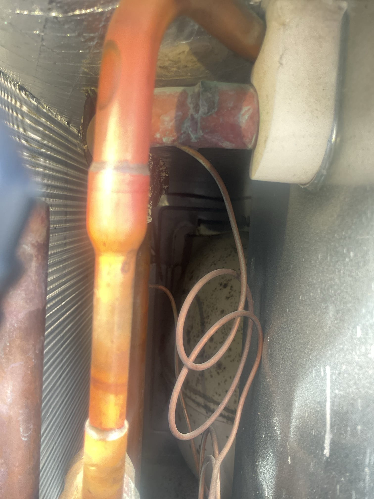 Inspection

(two system)

TRANE M# 4YCZ6036C1070AB    S# 174413179L

3 TON natural gas package unit

Year: 2017

Heating inspection-

Sequence of operation: pass
Temperature heat rise: pass
Inducer capacitor: pass
Gas line: sediment trap
Inducer motor: pass
Gas valve: pass
Burners: pass

Cooling inspection-

Refrigerant circuit diagnostics: pass
Hermetic capacitor: pass
Electric motor running amperages: pass
Compressor starting amperage: HIGH 88A/83A
Evaporative coil inspection: dirty (see photos)
Blower housing and wheel inspection: organic growth (see photos)

TRANE M# 4YCZ6036C1070AB   S# 171510649L

3 TON natural gas package unit 

Year: 2017

Heating inspection –

Sequence of operation: pass 
Temperature heat rise: pass
Inducer capacitor: pass
Gas line: sediment trap
Inducer motor: pass
Gas valve: pass
Burners: pass

Cooling inspection –

Refrigerant circuit diagnostics: pass
Hermetic capacitor: pass
Electric motor running amperages: pass
Compressor starting amperage: HIGH 88A/83A