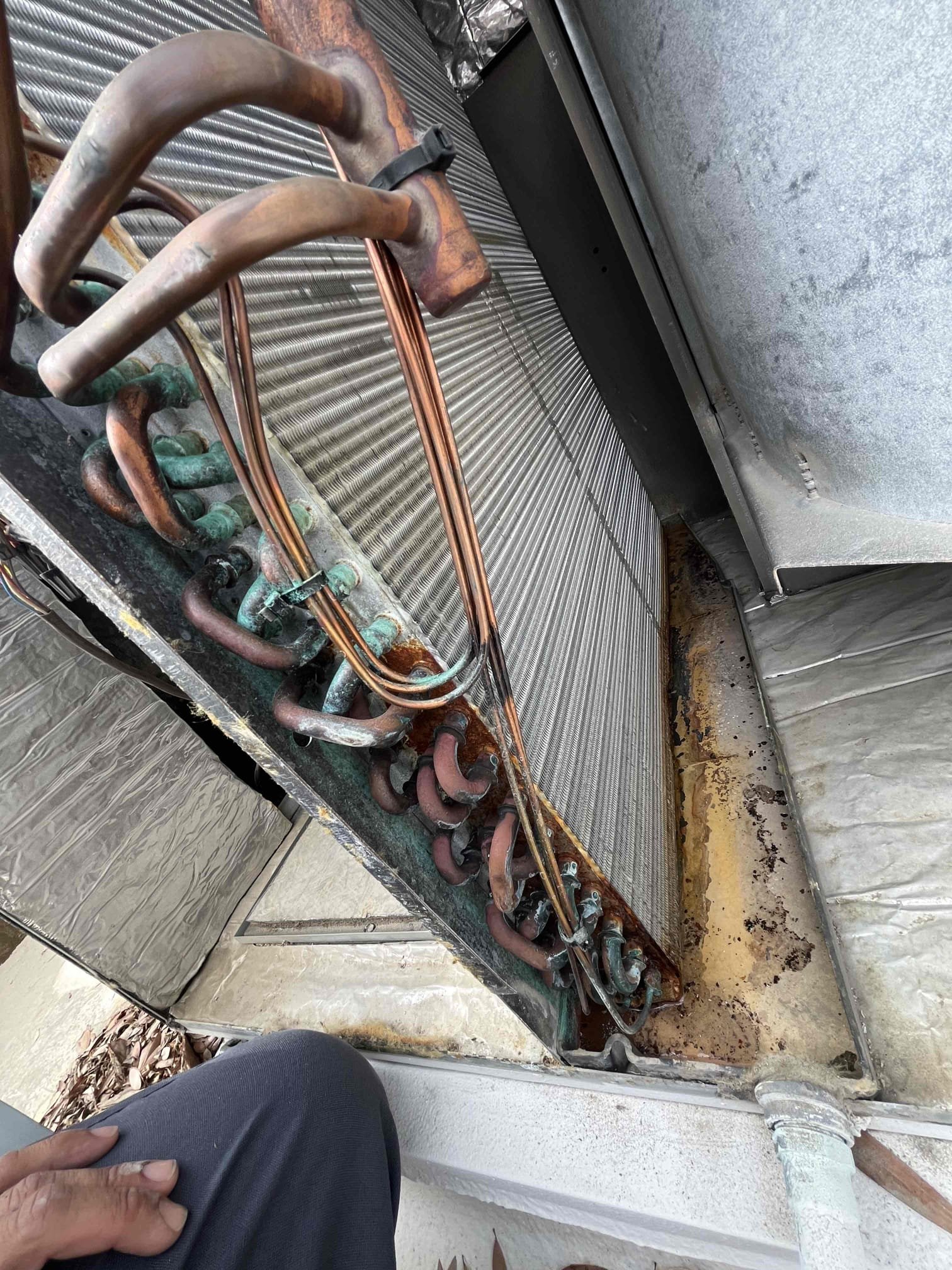 🔥💨
Single system service
20+ American standard rooftop package unit- gas


Semi annual HVAC fall service

Replaced 24 x 30 filter/ceiling mounted 
Cycled equipment followed, heating sequence of operation
Checked inducer fan motor, blower motor, capacitors, blower wheel, heating safety sensors, gas, pressures, amps and voltage
Check for carbon monoxide throughout the house/nothing detected
Inspected evaporator coil
Clear, condensation line, nest thermostat checked out OK
Adjusted supply register for main bedroom per client request 
✅
Equipment checked out operational at this visit

⚠️
Informed client on age of equipment
Exterior metal ducting should be sealed, evaporator coil has rust spots
Which are known for refrigerant leaks

Informed client of findings and winter deals

Attached is an estimate for system replacement 

🎃☕️
Gave client Starbucks gift card for October maintenance

📆
Scheduled maintenance for the end of April