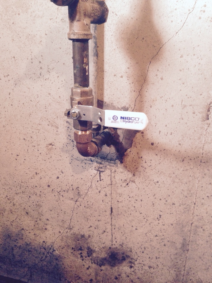 Install new main shutoff valve.