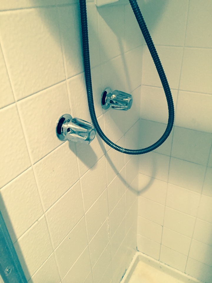 Replace shower stem.