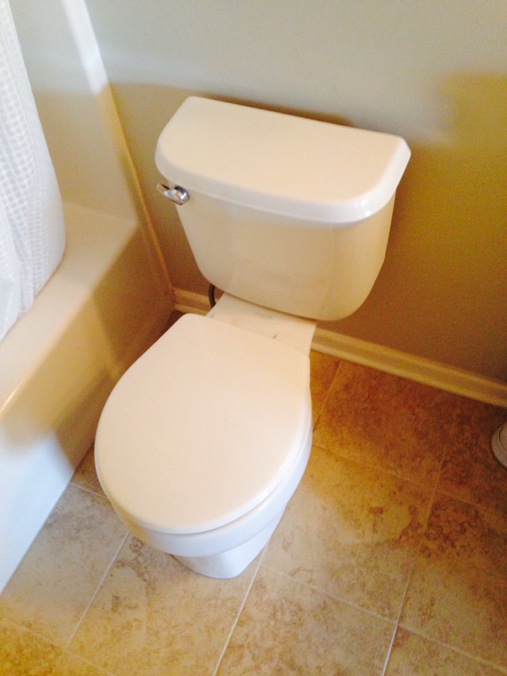 Rest toilet and raise closer flange after leak caused from tile guy attempting to plumb.