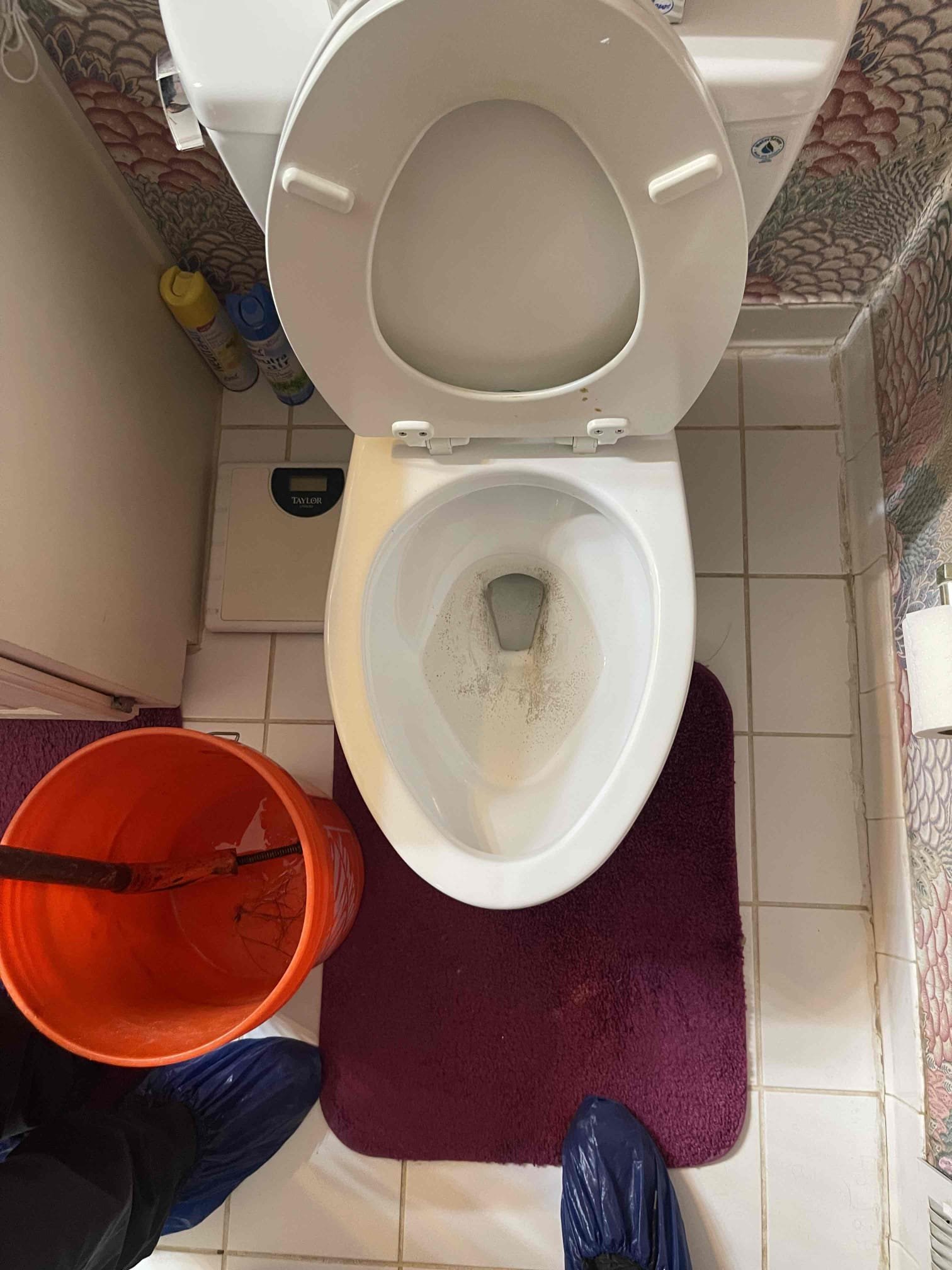 Two clogged toilets. Nothing backing up into any other fixtures in the house. Attempted auger. After multiple flushes it started working. Had nothing to do with the augering which I could tell by looking at the layout of the plumbing in the unfinished basement. Found cleanout in front of house. Sewer line is 10’ deep. Ran camera for free to identify any possible buried issues as I wanted to ensure we wouldn’t get recalled at the end of the day for another back up. Dropped camera down cleanout and found sewer line coming out of the house is heavily back pitched and holding water due to house settling on hill. Left two different repair options. Notified homeowner of my findings. 