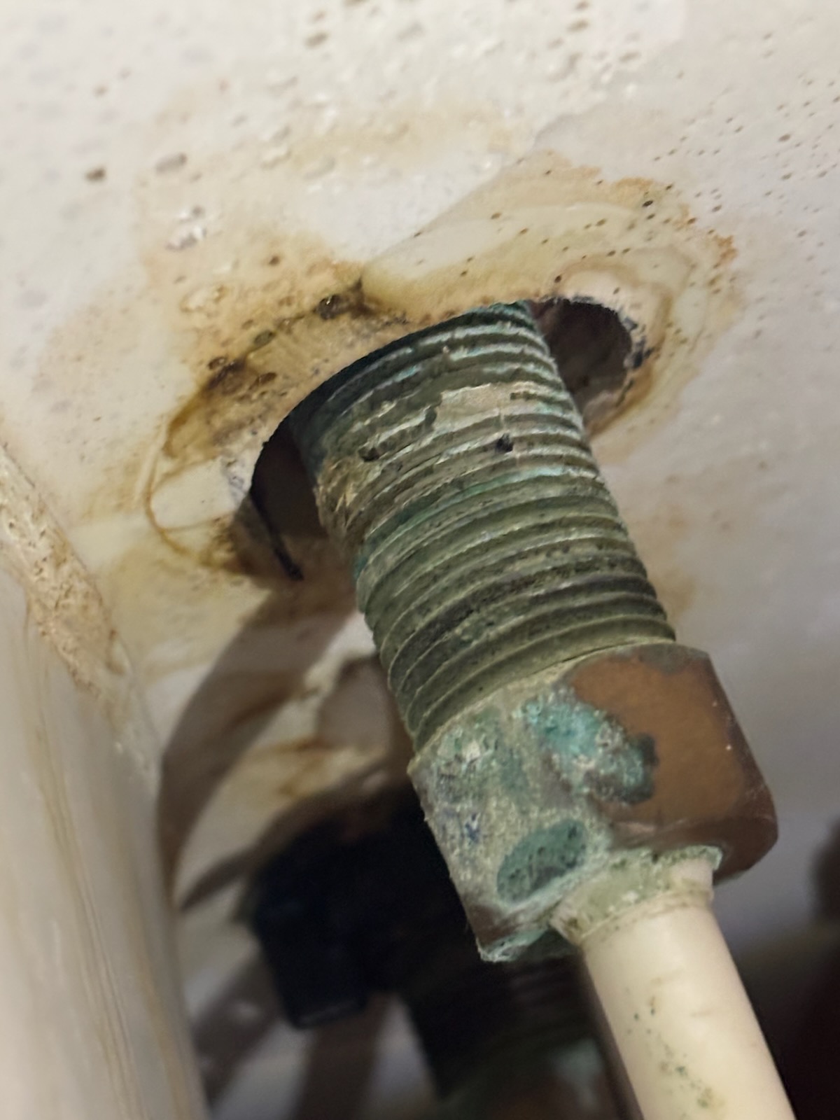 Customer stated that kitchen faucet had a drip, and also that lavatory faucet was loose. Gave customer estimate to replace kitchen faucet cartridge and not on bottom of lavatory faucet and customer approved quote. Removed existing cartridge out of kitchen faucet and replaced with new one. Tested and now kitchen faucet is leak free. Set screw needs to be replaced for kitchen faucet. Replaced supply lines on lavatory faucet and installed new nut to hold faucet in place. Tested in no leak. Cleaned up work area.