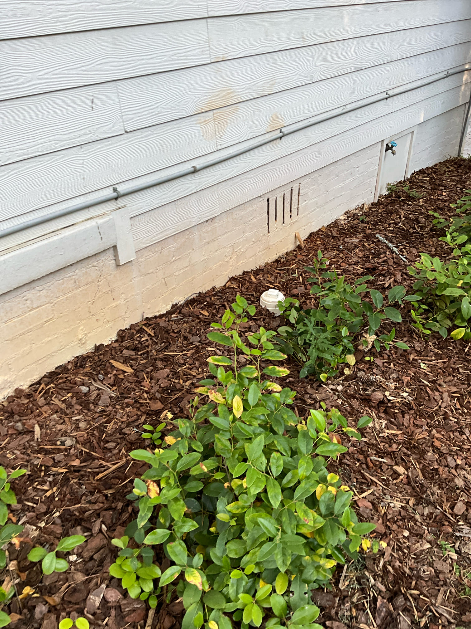 Customers would like a sewer line inspection to scope and quote for any fixes.