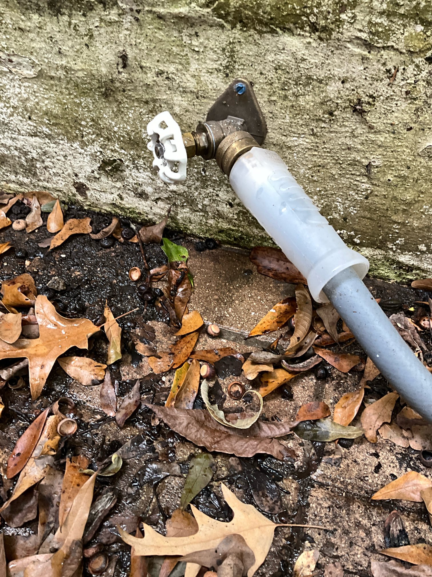 Returned and installed a new Delta monitor 17 series cartridge. Tested work to ensure proper function and no leaks. Took a time stamp of meter and found the same rate of loss. Adjusted a toilet that the fill line was close and found a hose bib left turned on leaking from the vaccum breaker. Turned the house off after repair, toilet adjustment, and turning the hose bib off. No more water is moving from the meter.