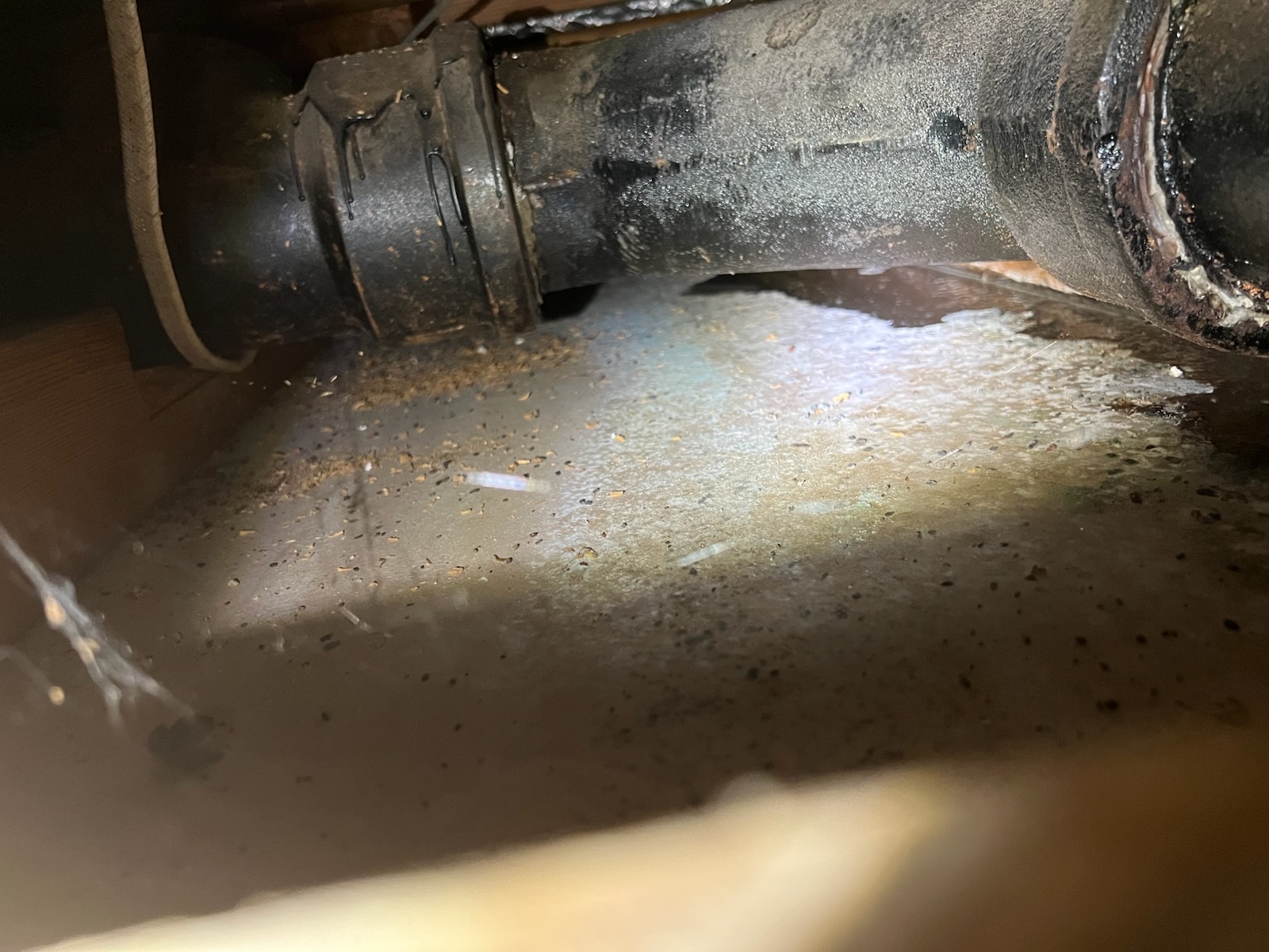 Customer stated that there was water leaking into basement bathroom. Cut into sheet rock and found old cast-iron piping leaking. Gave customer quote to replace section of cast-iron and customer approved. Will return tomorrow to do work.

October 21 2025
Returned and cut out section of cast iron and replaced with PVC. While cutting stack under lavatory faucet on main floor cut into wire. Had an electrician come out and make repair. Also a 2in stack that is going up next to the stack we replaced, is fully clogged and not functional. Don’t know what that line is servicing so may become an issue and recommend for a section of the stack to get replaced which was not quoted with job done today. Can send estimate to have that stack replaced. Attempted to install new toilet flange, but found that toilet had a small leak and caused hole for flange to get to big and that there is no subfloor for us to secure flange to. Recommended to have reliable restoration come out and take a look. So at this