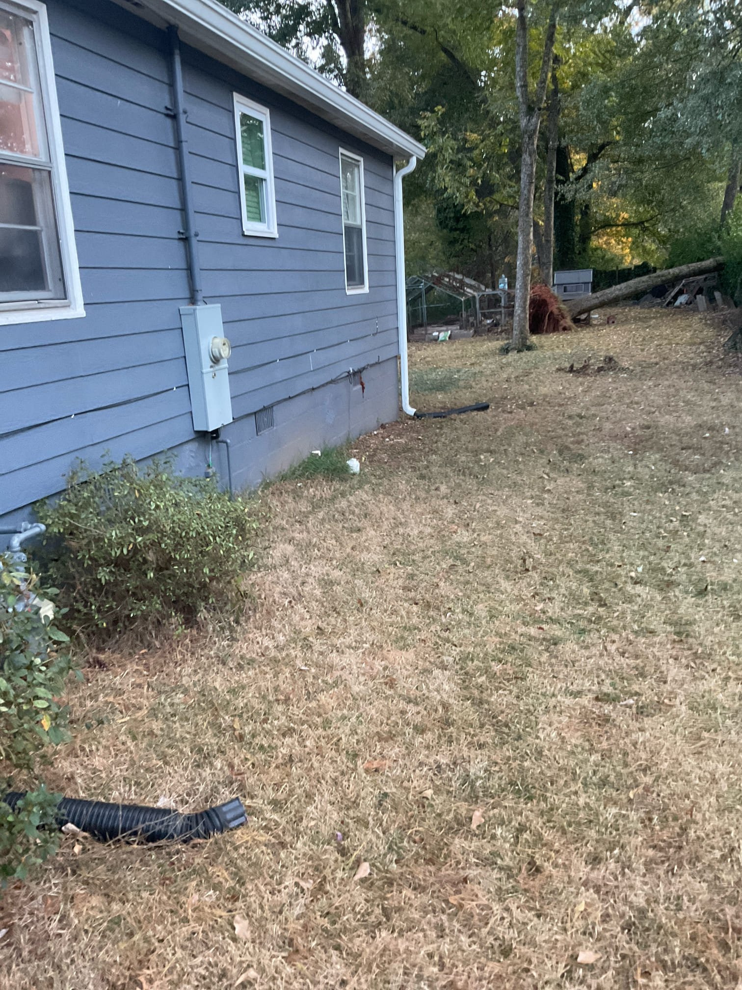 Quoted sewer line replacement job today 