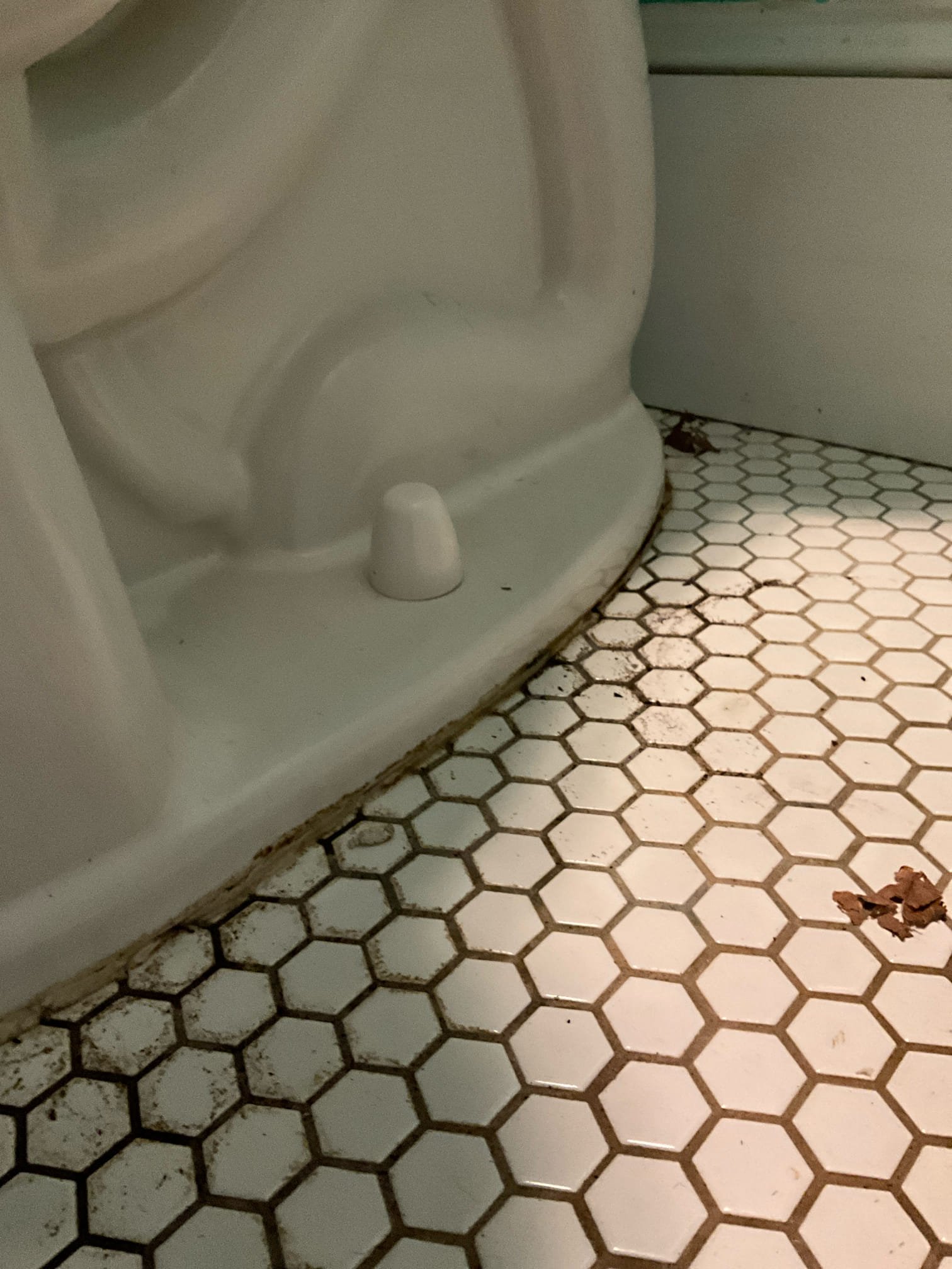 Call for leak at base of toilet. Arrived and discussed concerns with Ms. Robin. She stated that water has been seeping from under toilet when flushed and has started to get worse lately. We also noted toilet bolts that were loose, which indicated the flange may be damaged. Price is to pull and reset toilet. Reset with new wax ring, toilet supply, and bolts. Once toilet was pulled we discovered that the flange needed to be replaced, and Robin authorized the additional repair. If the stop isn’t holding, additional pricing will be given to replace. Toilet reset, caulking applied. Advised customer to not clean or apply chemicals to caulking for 24 hours.
Remove and replace hose spigot on side of house. Install dedicated shut off valve. 

We also discussed the age of the water heater, and the kitchen faucet. Ms. Robin discussed having the water heater and faucet replaced before Thanksgiving, and we have provided the estimate for this repair.

