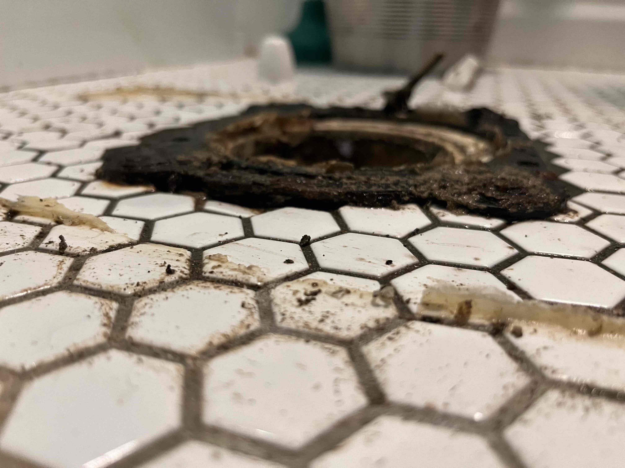 Call for leak at base of toilet. Arrived and discussed concerns with Ms. Robin. She stated that water has been seeping from under toilet when flushed and has started to get worse lately. We also noted toilet bolts that were loose, which indicated the flange may be damaged. Price is to pull and reset toilet. Reset with new wax ring, toilet supply, and bolts. Once toilet was pulled we discovered that the flange needed to be replaced, and Robin authorized the additional repair. If the stop isn’t holding, additional pricing will be given to replace. Toilet reset, caulking applied. Advised customer to not clean or apply chemicals to caulking for 24 hours.
Remove and replace hose spigot on side of house. Install dedicated shut off valve. 

We also discussed the age of the water heater, and the kitchen faucet. Ms. Robin discussed having the water heater and faucet replaced before Thanksgiving, and we have provided the estimate for this repair.

