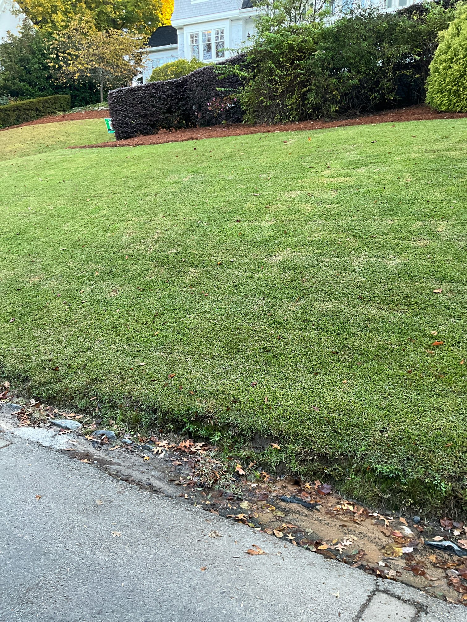 Call for leak in yard.

Arrived and met with Tyler. 

Leak is very evident at side of road, approximately 20-30 feet away from water meter.

Checked both water meter boxes, and the irrigation box. Both meters show no flow going through them. I believe this leak is in the county main line, and have advised Tyler to contact Atlanta water service by calling 311.

I checked the pressure on the house and found it to be 50psi @9am. Pressure regulating valve is manufactured in 2017, and I recommend replacing it by 2027. Water heaters are both in good condition. 

No other concerns at this time.