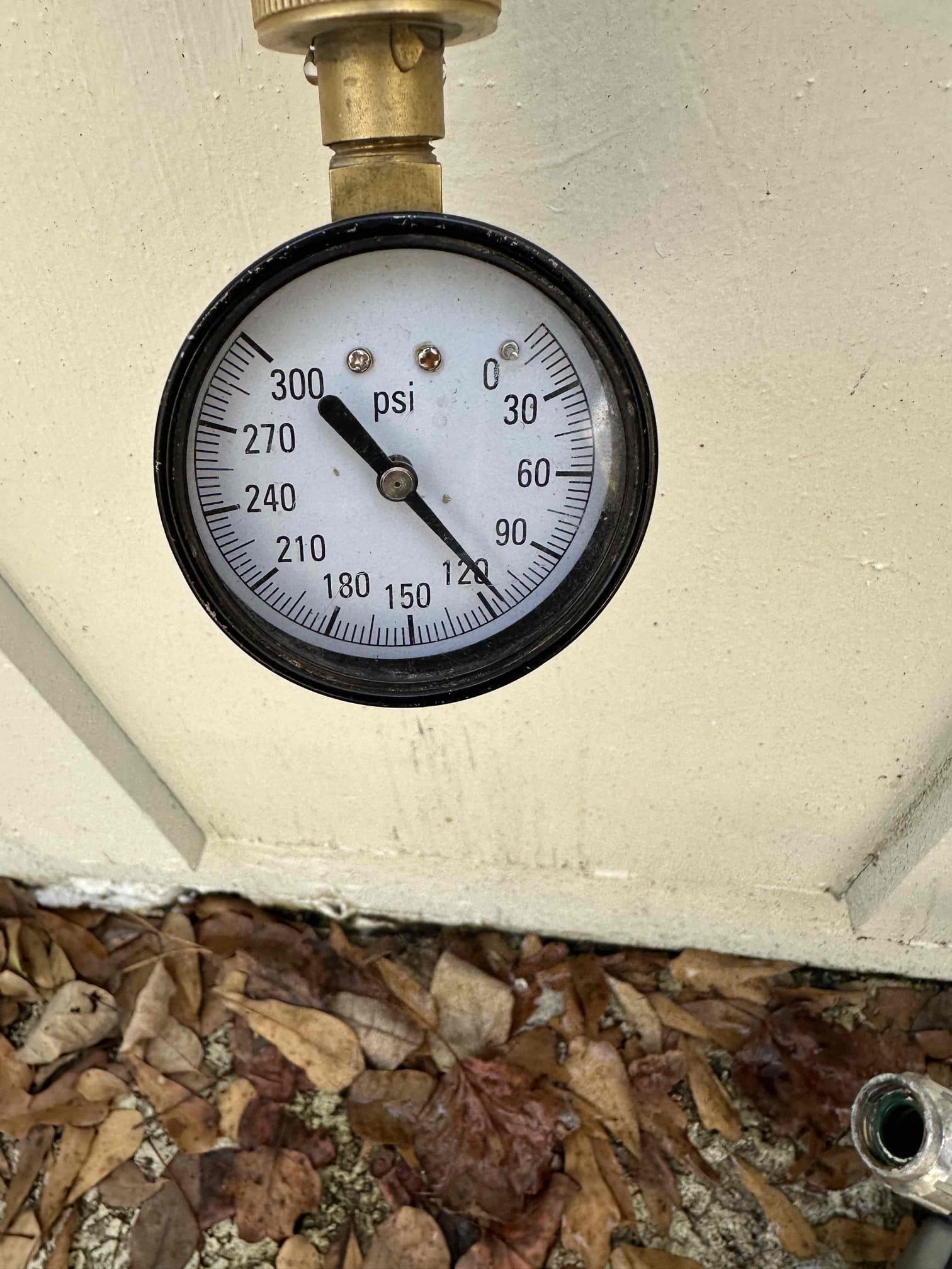 Left quotes for multiple issues found 