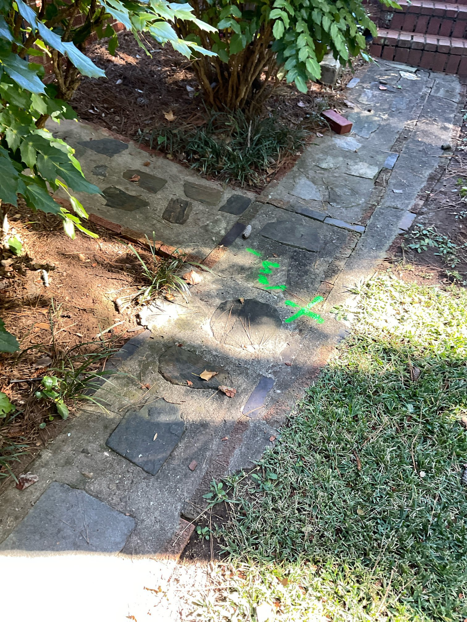 Customer stated previous company came out and snaked sewer line, and pulled back roots. Customer wanted quote to have sewer line replaced. Stated to customer First step will be is to run camera to take a look at everything. Customer agreed so I went ahead and ran camera from clean out in basement. Found roots in the line about 28 feet away and couldn’t get past to inspect the rest of line. Also from clean out in front yard ran camera and got into a 6 inch pipe but couldn’t get past a pipe separation. Will send, customer estimates for repairs needed. Cleaned up work area.