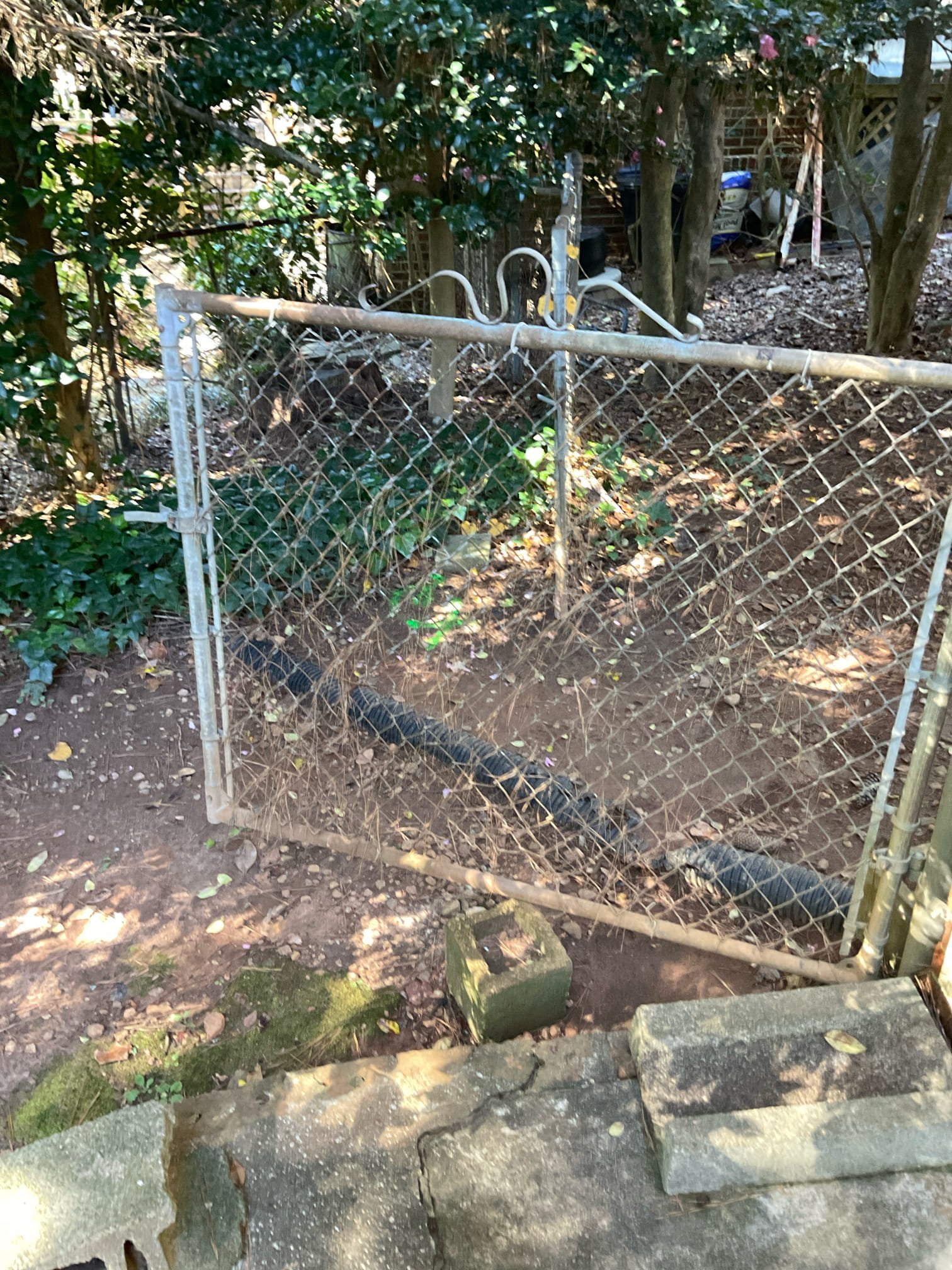 Customer stated previous company came out and snaked sewer line, and pulled back roots. Customer wanted quote to have sewer line replaced. Stated to customer First step will be is to run camera to take a look at everything. Customer agreed so I went ahead and ran camera from clean out in basement. Found roots in the line about 28 feet away and couldn’t get past to inspect the rest of line. Also from clean out in front yard ran camera and got into a 6 inch pipe but couldn’t get past a pipe separation. Will send, customer estimates for repairs needed. Cleaned up work area.