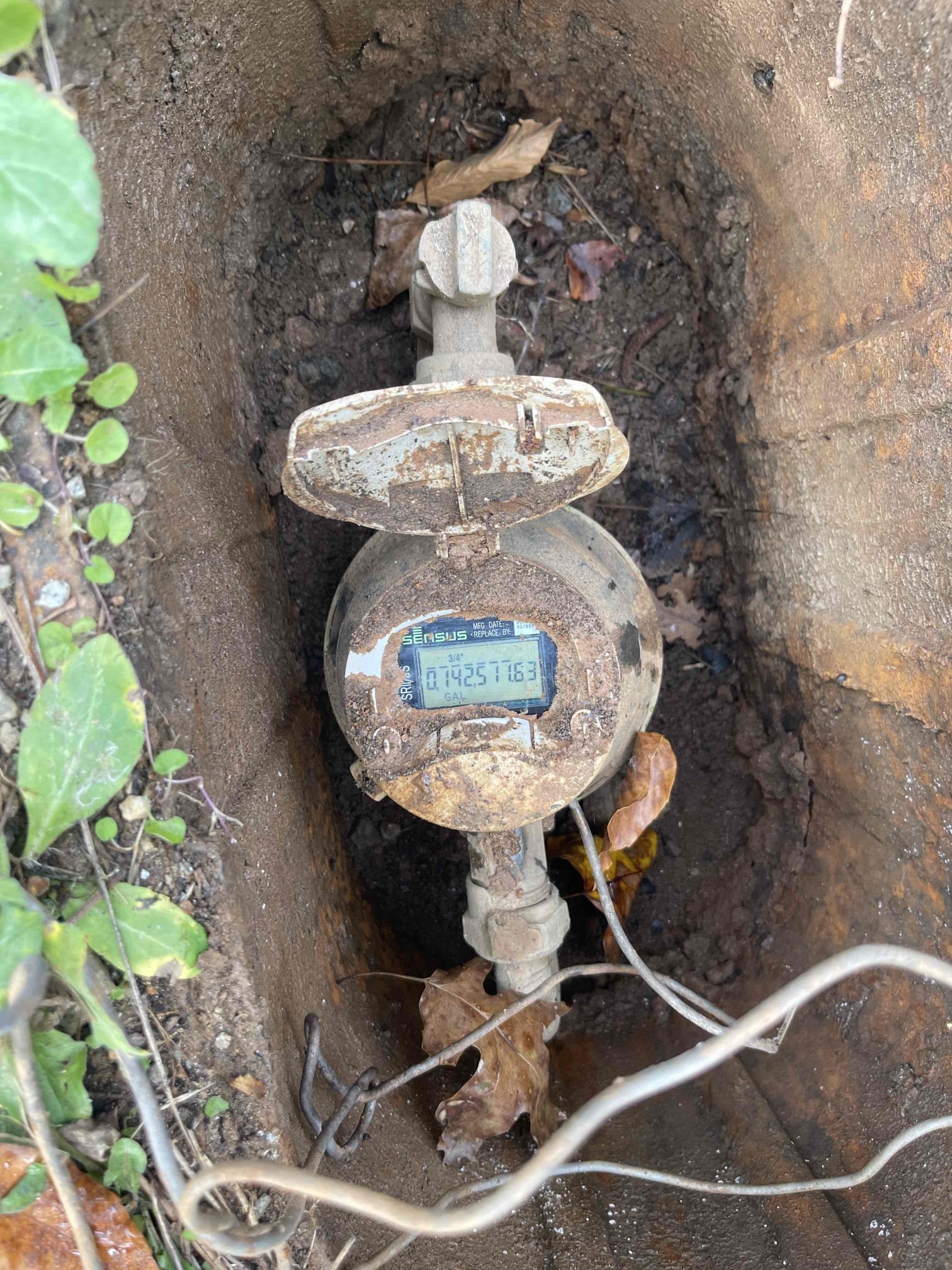 Wet spot in wooded area in the back yard. Checked water meter to confirm no leak. We have gotten rain a few times in the last week. They have irrigation system back in the wooded area. Recommended they leave it off for a couple weeks and see if it goes away. If it does not I left a quote for an exploratory dig in the area to check things out. Very Small amount of water pooling in the dirt.  No sign of actively flowing from anywhere.  