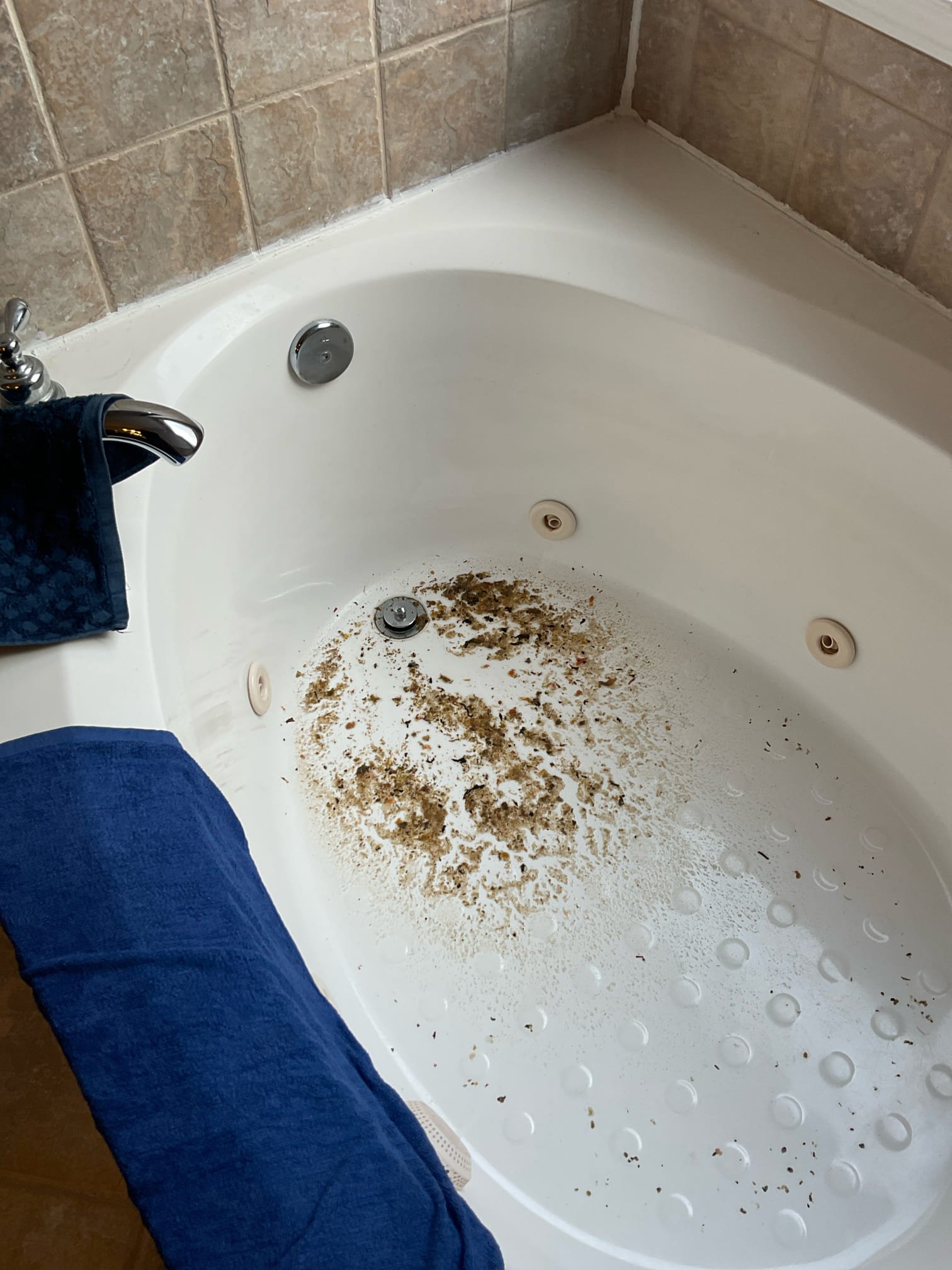 Pull and reset master toilet , cleared blockage with camera 