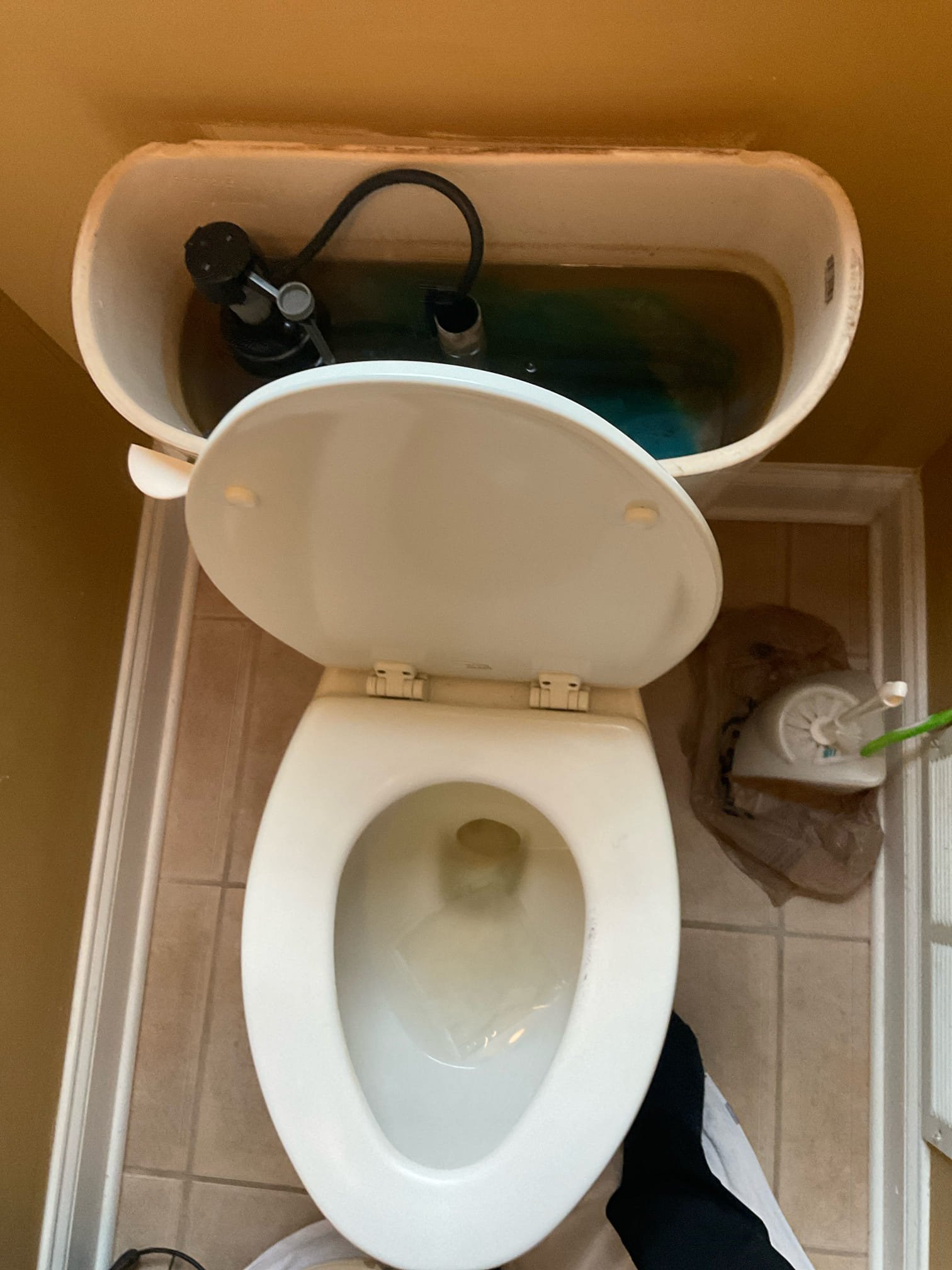 Replaced master bathroom toilet flush valve , second toilet upstairs new fill valve , flapper and supply line installed 