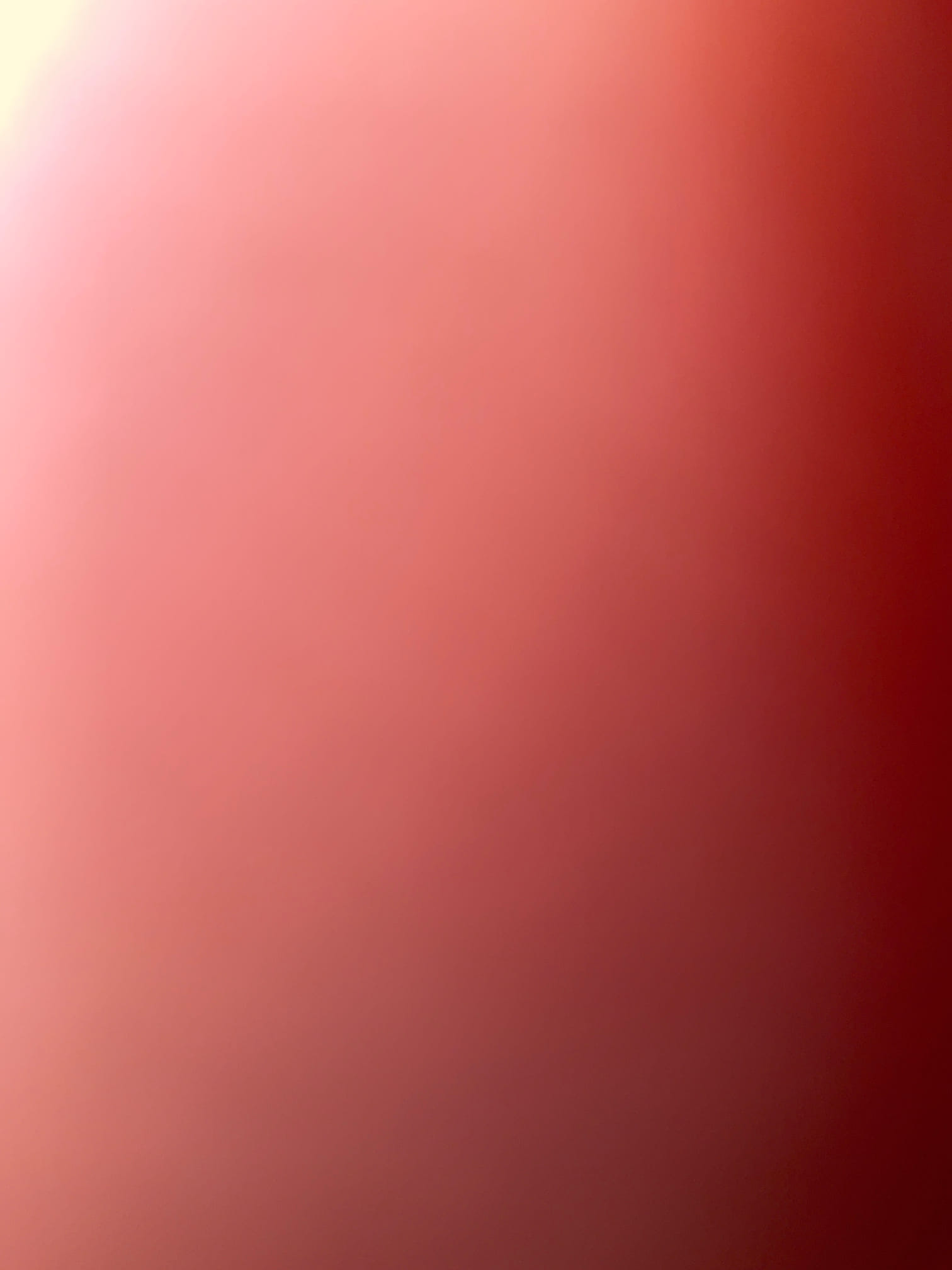 Quoted water line and sewer line replacement today 