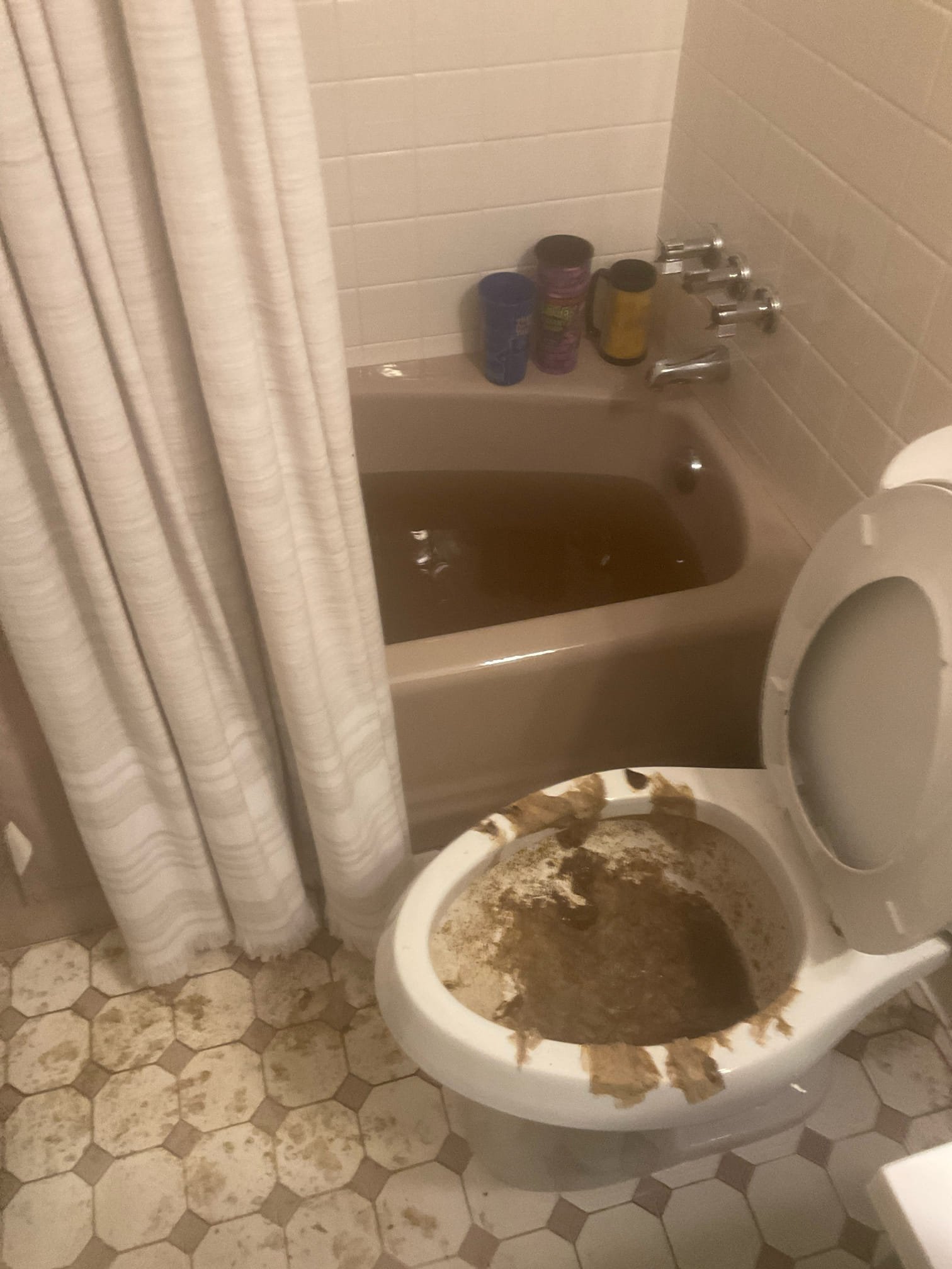 Main sewer line back up both bathroom at main floor , removed standing sewerage in the hallway bathtub , snaked with 100 feet of big cable snake machine , can not clear the blockage due to distance and possible roots problem , locate the pipe outside in the yard and quoted replacement, will credit back half of the service today towards replacement 