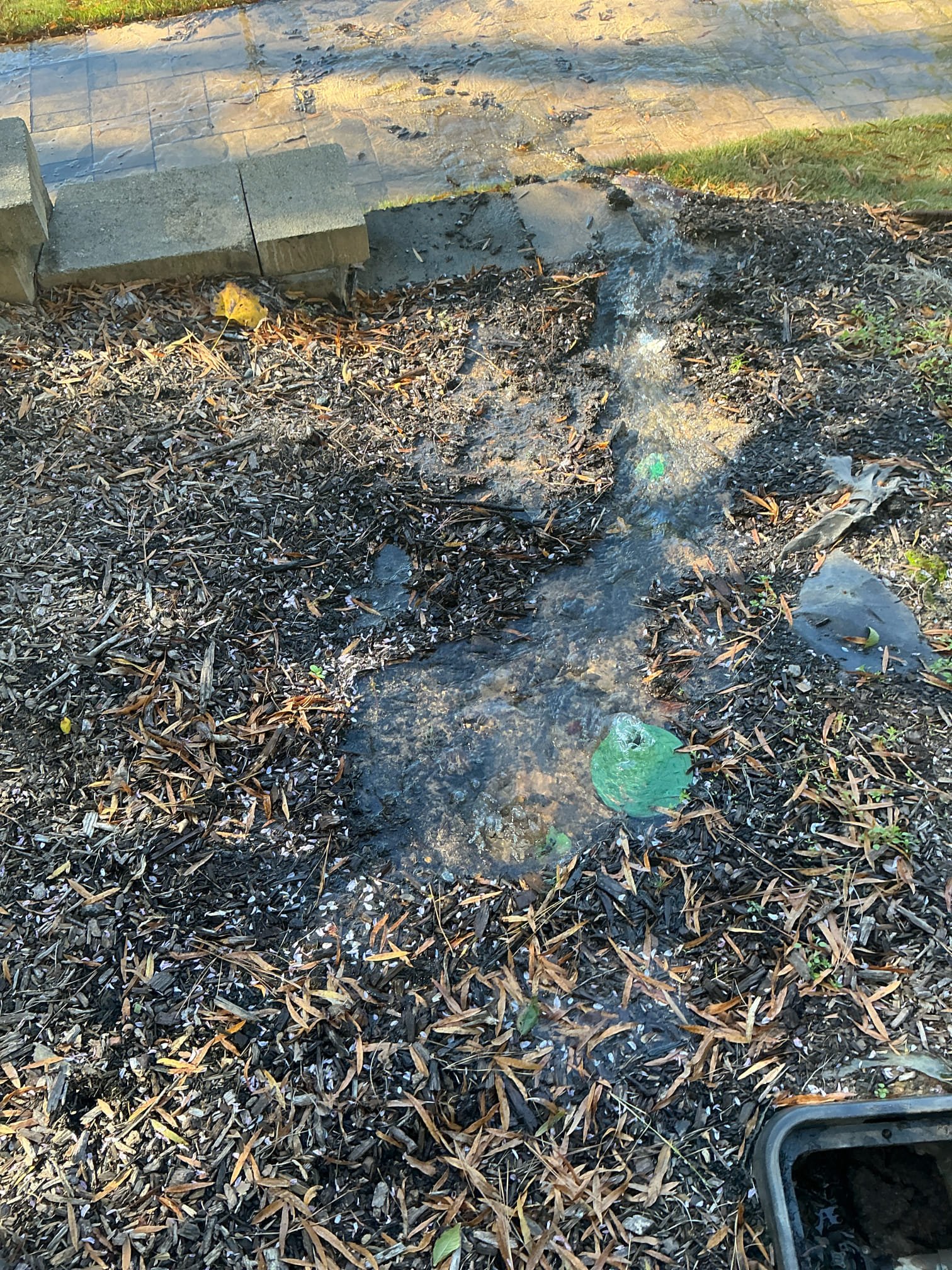 Client called us out due to a water line leak in yard up by the home. It was coming out of a box cover for the irrigation system up right by the home. We turned water off per client request. Recommend they call an irrigation guy to handle repairing that leak. Water is OFF at city meter in yard by road.

Charged service fee. 