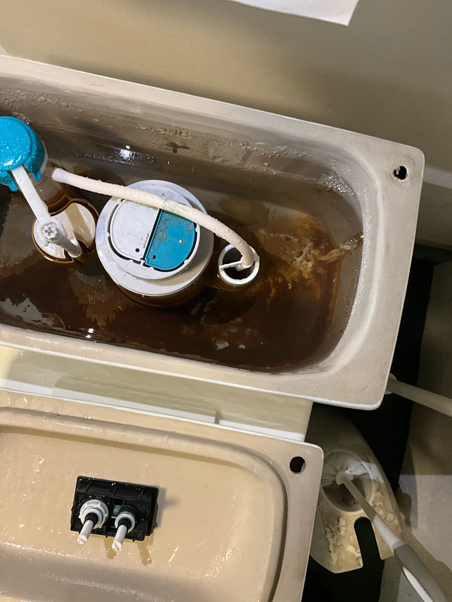 Call for smell under toilet

Met with Chris on site. He stated that the smell occurred yesterday, and was really bad this morning. Everything seems to be flushing fine.

Inspected building and restroom. Building restrooms have been relocated at some point in the past. Current restroom has one toilet and one lavatory. Toilet is a residential skirted type toilet, with atypical mounting. Signs of sewage spill around right side. Checked for signs of current backups, and ran sink and flushed toilets constantly over approximately 8-10 minutes. 

I believe that the toilet sewer line experienced a backup, and the sewage spilled over the wax ring and accumulated under the toilet. These types of toilets are difficult to mount, and can often be installed in a way that compromises the integrity of the wax seal, but won’t show symptoms of leaking until a sewer line backup occurs.

I spoke with Tom and Chris. They would like a more traditionally mounted toilet, and one better suited to handle commer