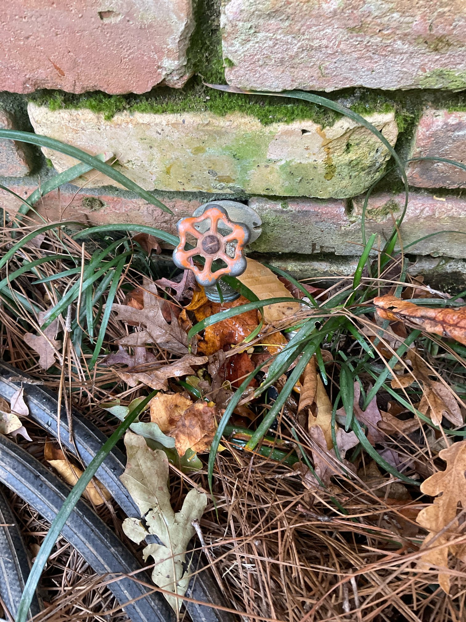Upstairs removed two toilets and hauled away. Installed customer supplied toilets and tested. No leaks were present at this time so caulked around bases of toilets. Downstairs kitchen sink there was a leak on basket strainer, so went ahead and replaced basket strainer and tested. No leaks were present. Repaired hose bib in front of the home and tested. No leaks, surprised at this time, but there is no warranty on hose bib repair. Also no warranty on customer supplied parts. Cleaned up work area.