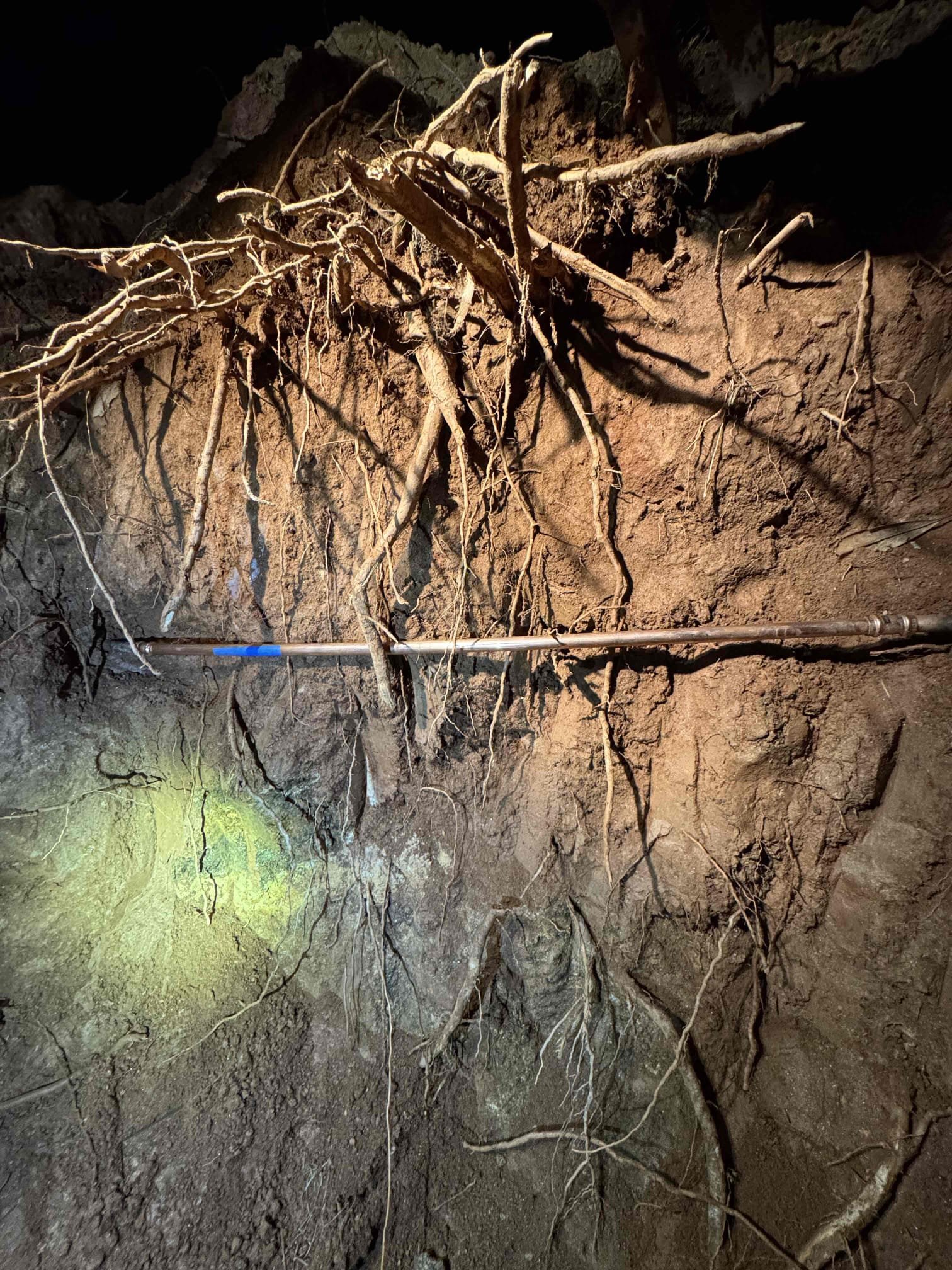 Dig down about 10 feet by existing 6 inch clean-out and replace with new 6 inch clean-out.

Dug down by existing 6 inch clean out. Cut out section of 6 inch concrete pipe and also 4 inch cast-iron. Installed new cleanout and reconnected 4 inch. Hit waterline, but made repair and tested, and no leaks were found at this . Found roots further down on city side and recommended to customer to contact city for them to come and jet the line because currently they’re still slow draining going on on city side. Covered back soil and cleaned up work area. Chen plumbing is not responsible for any landscaping.