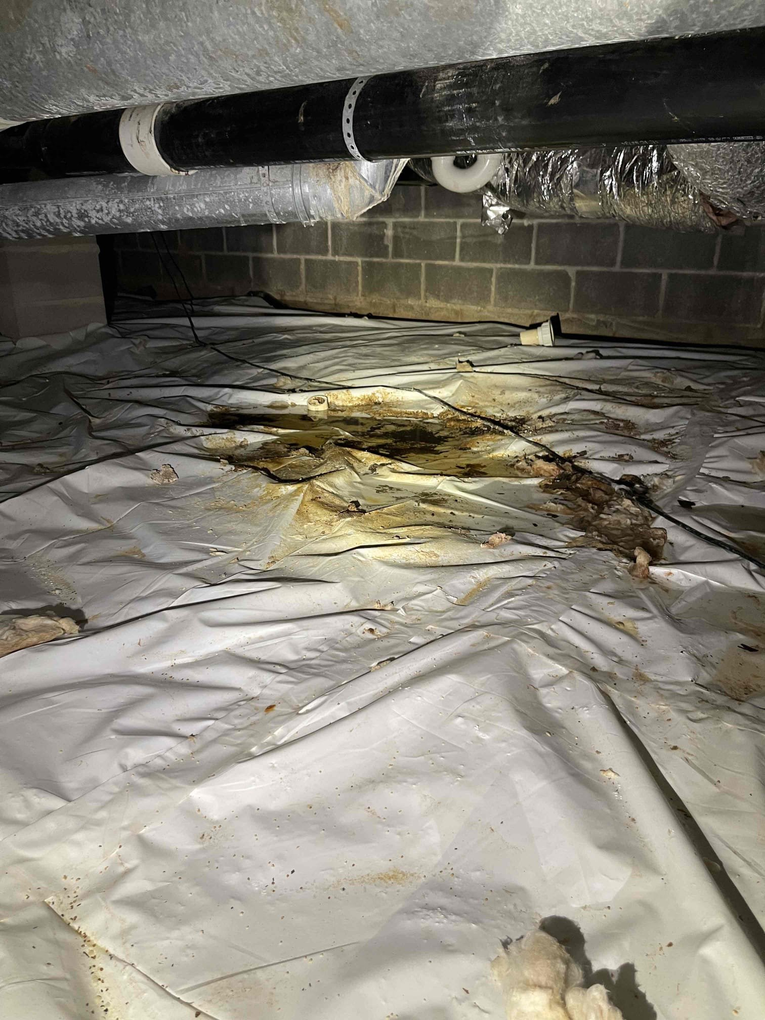 Located blockage in the middle of a belly in the crawlspace. To fix the belly, it will require lower the septic tank outside and redrill it through the foundation wall. Left quotes for repair work. Customer going to reach out to his septic company for more quotes. House is currently draining, will back up again. No warranty on drain cleaning services. 