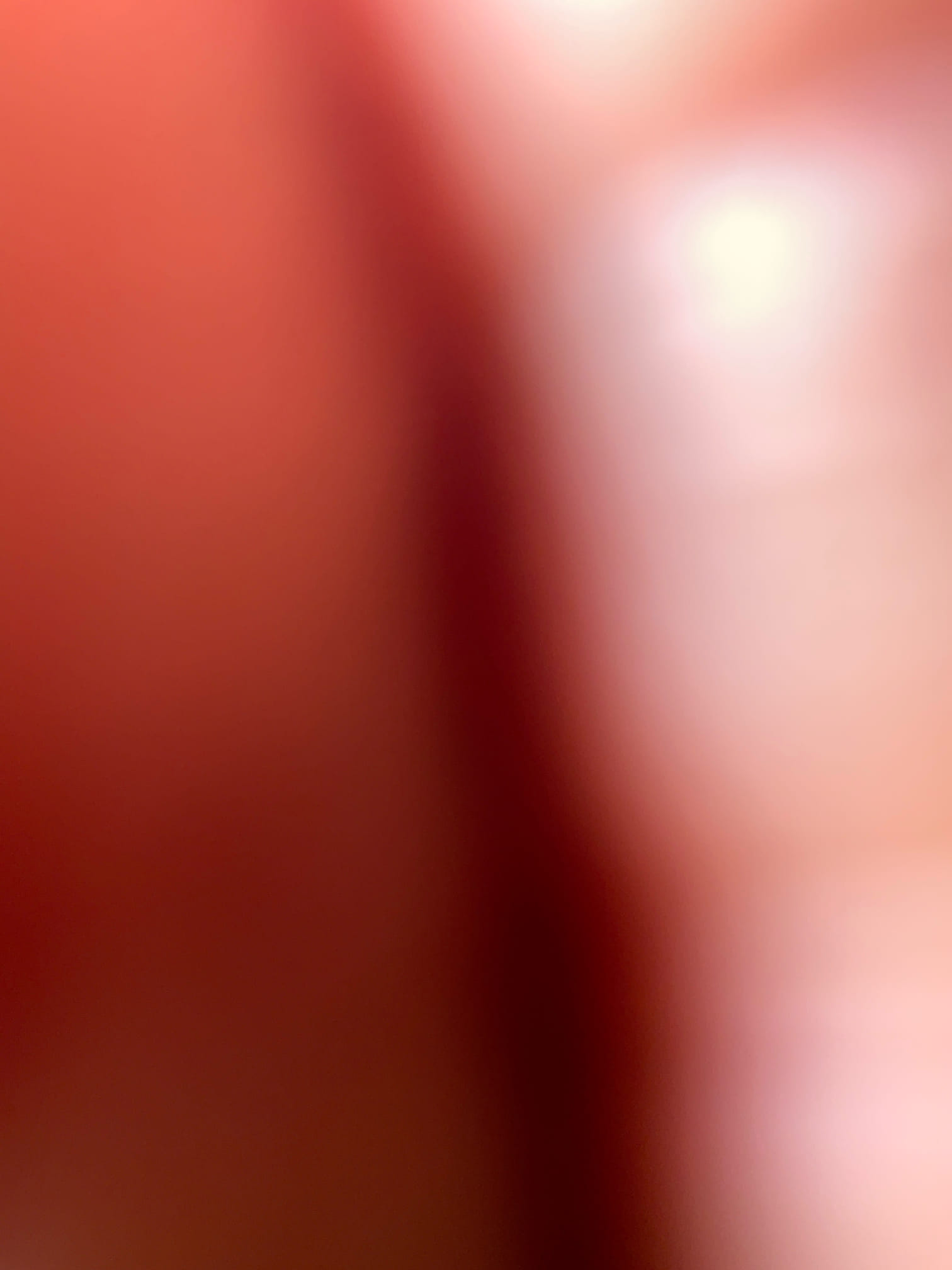 Camera and locate main sewer line from clean out in the front to street 