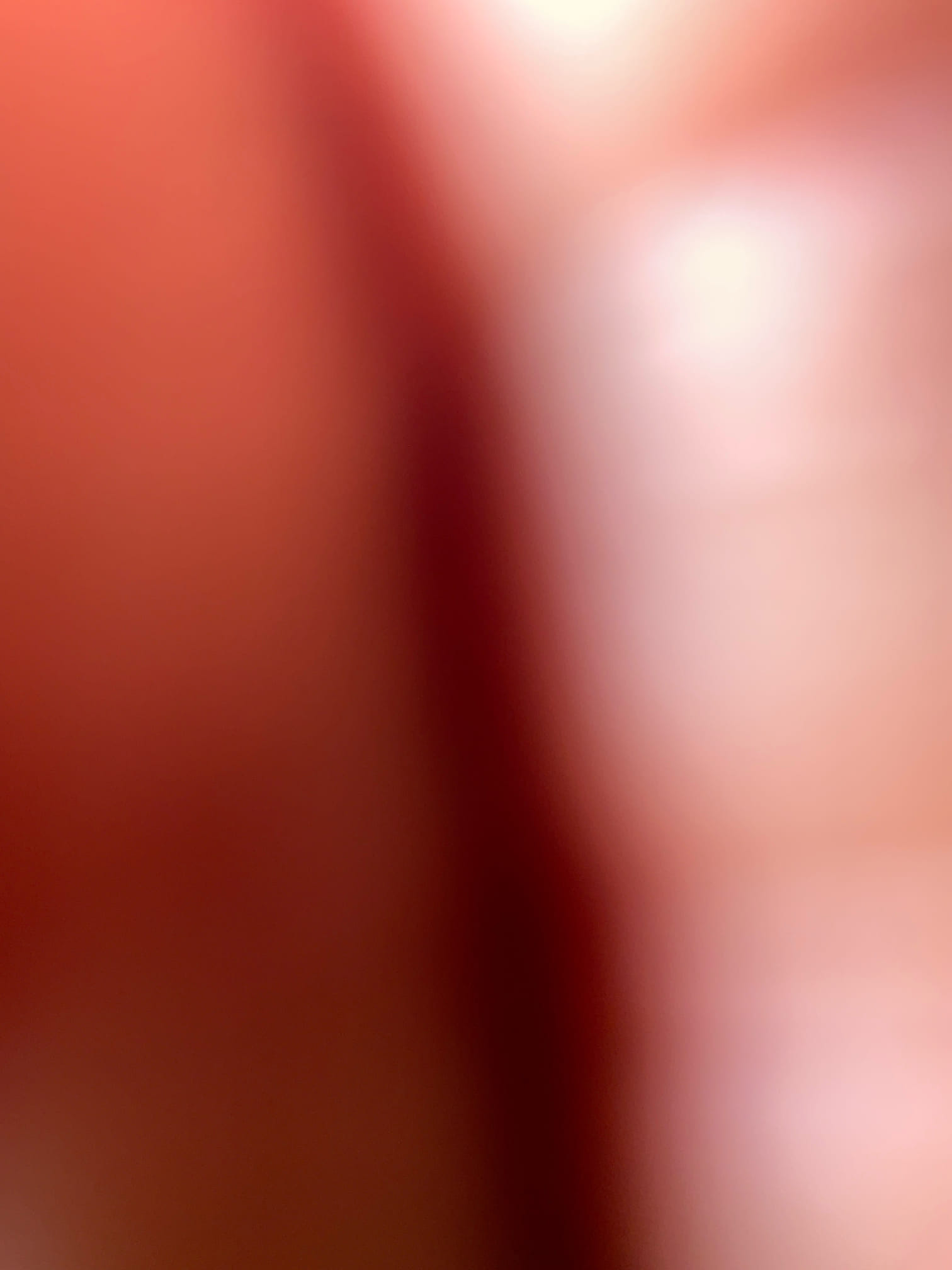 Camera and locate main sewer line from clean out in the front to street 