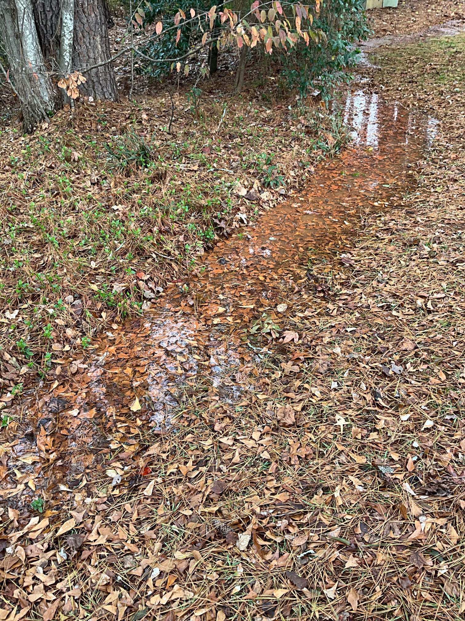 City was already out checking their line. Confirmed through meter read that it isn’t the customers leak.no dispatch fee for members. 