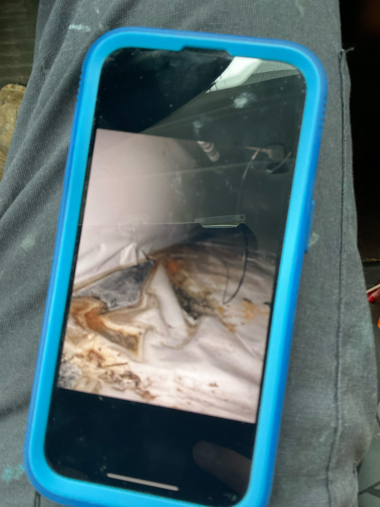 Customer stated there was water in crawl space. Used shop vac and cleaned up all water.