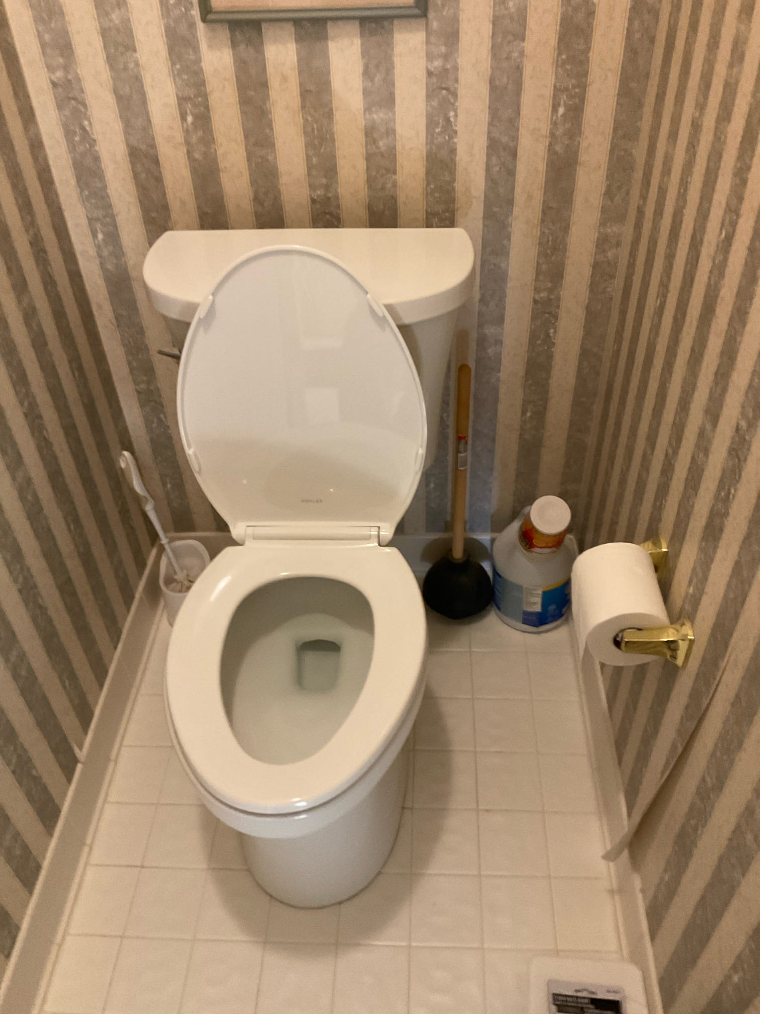 Replaced master bathroom toilet and installed customer supplied handheld shower 