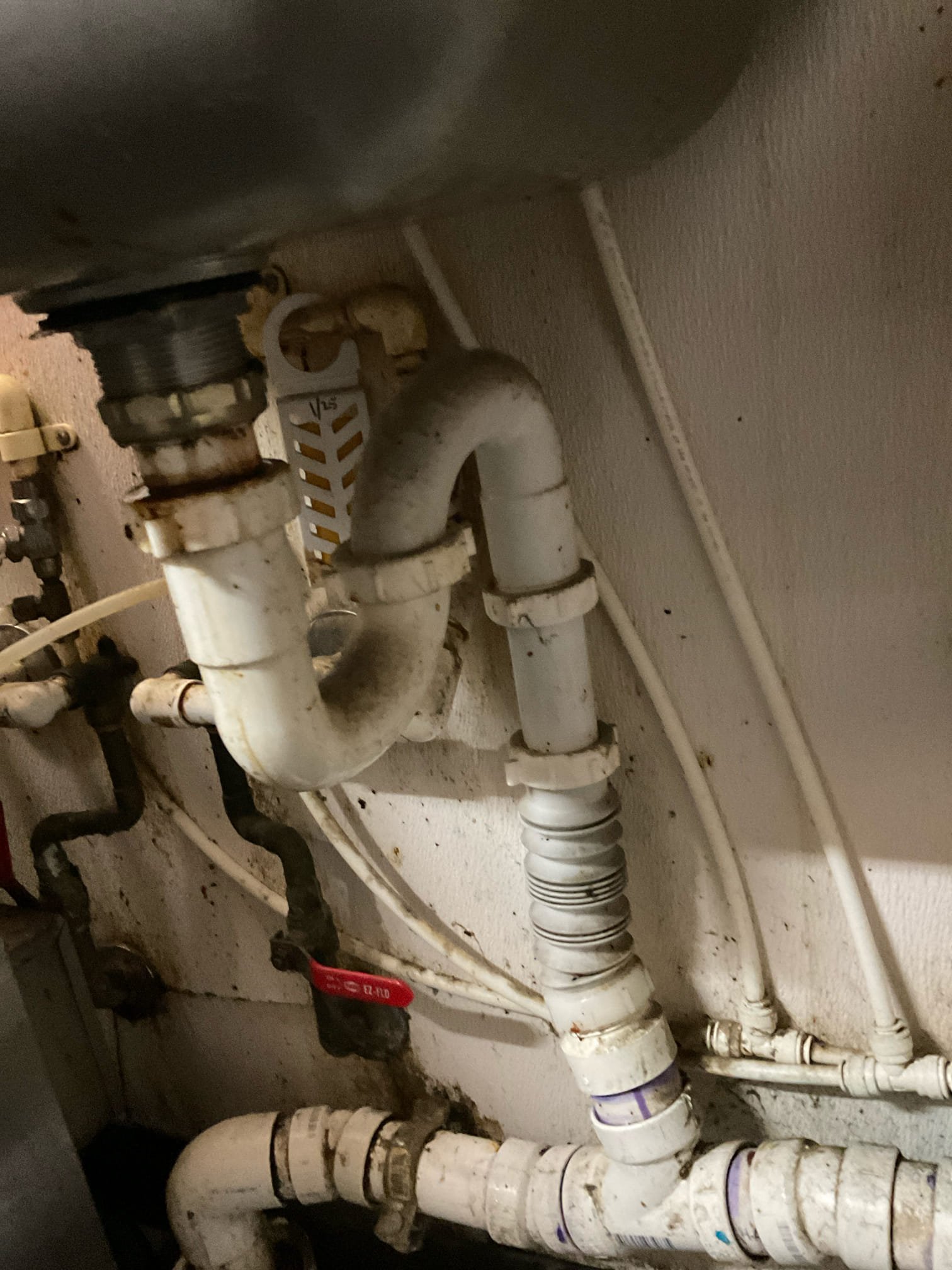 Provide two quote for plumbing repair today 