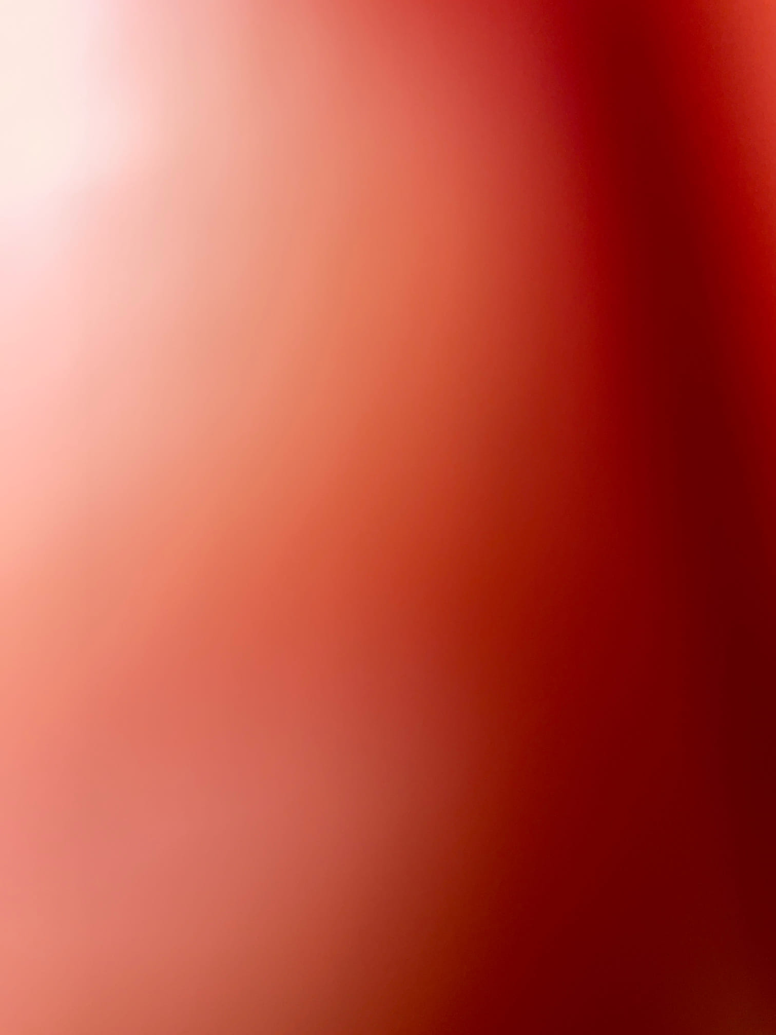 Quote tankless Install job today 