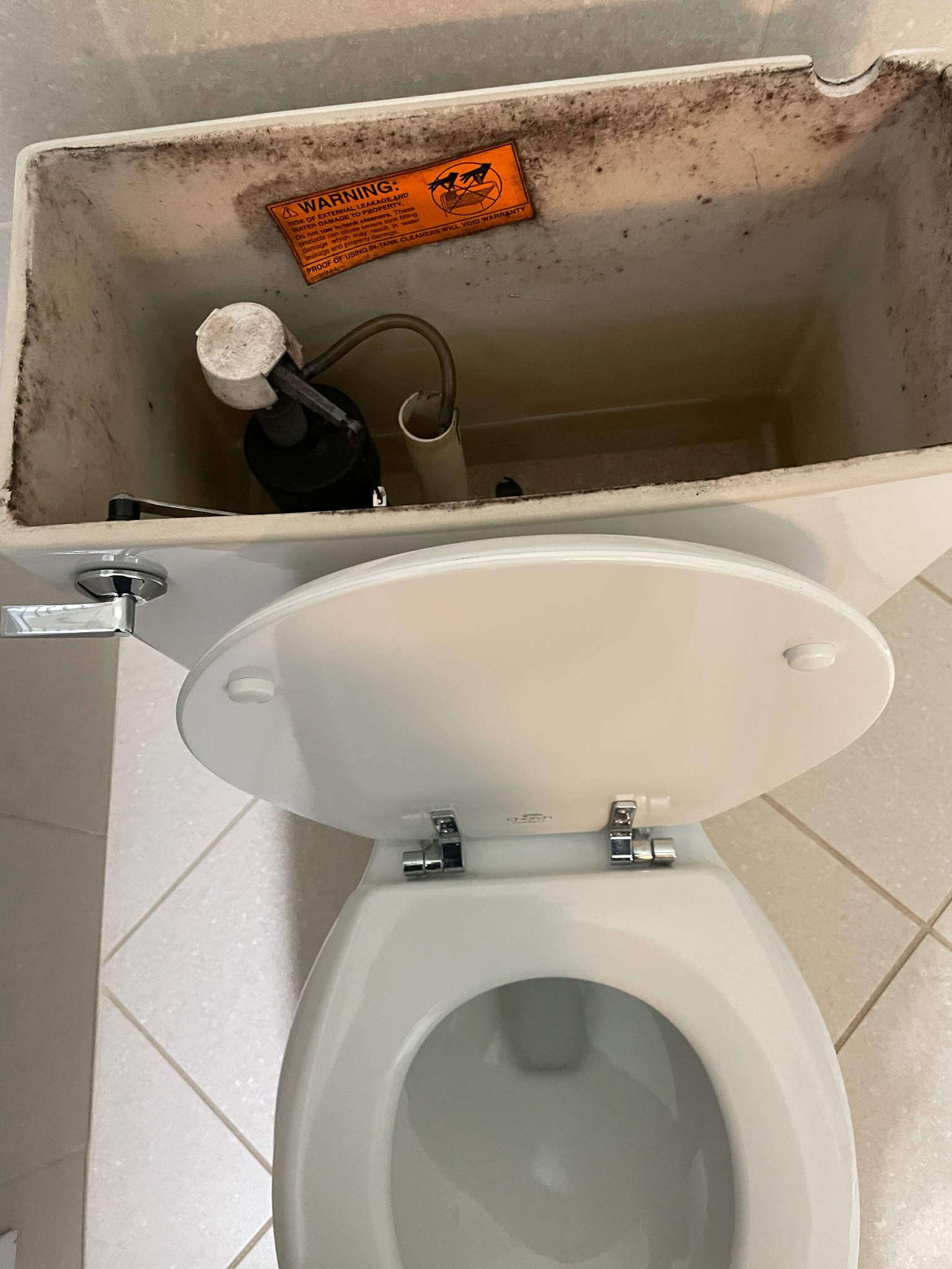 Call for toilet not filling and handle not functioning. 

Arrived and found guest bathroom toilet is an older Kohler memoirs toilet. The fill valve is failing, the handle is getting stuck, and the flapper is deteriorated. The hallway bathroom is in similar condition but still functioning.

We discussed repairs and replacement options. I assisted Mr. And Mrs. Wallenstein with identifying the current toilet model and make, to help provide accurate replacement options that will match the existing footprint of the toilet.

I also provided an estimate for replacing two sections of copper that were pointed out in the basement above the train tables.