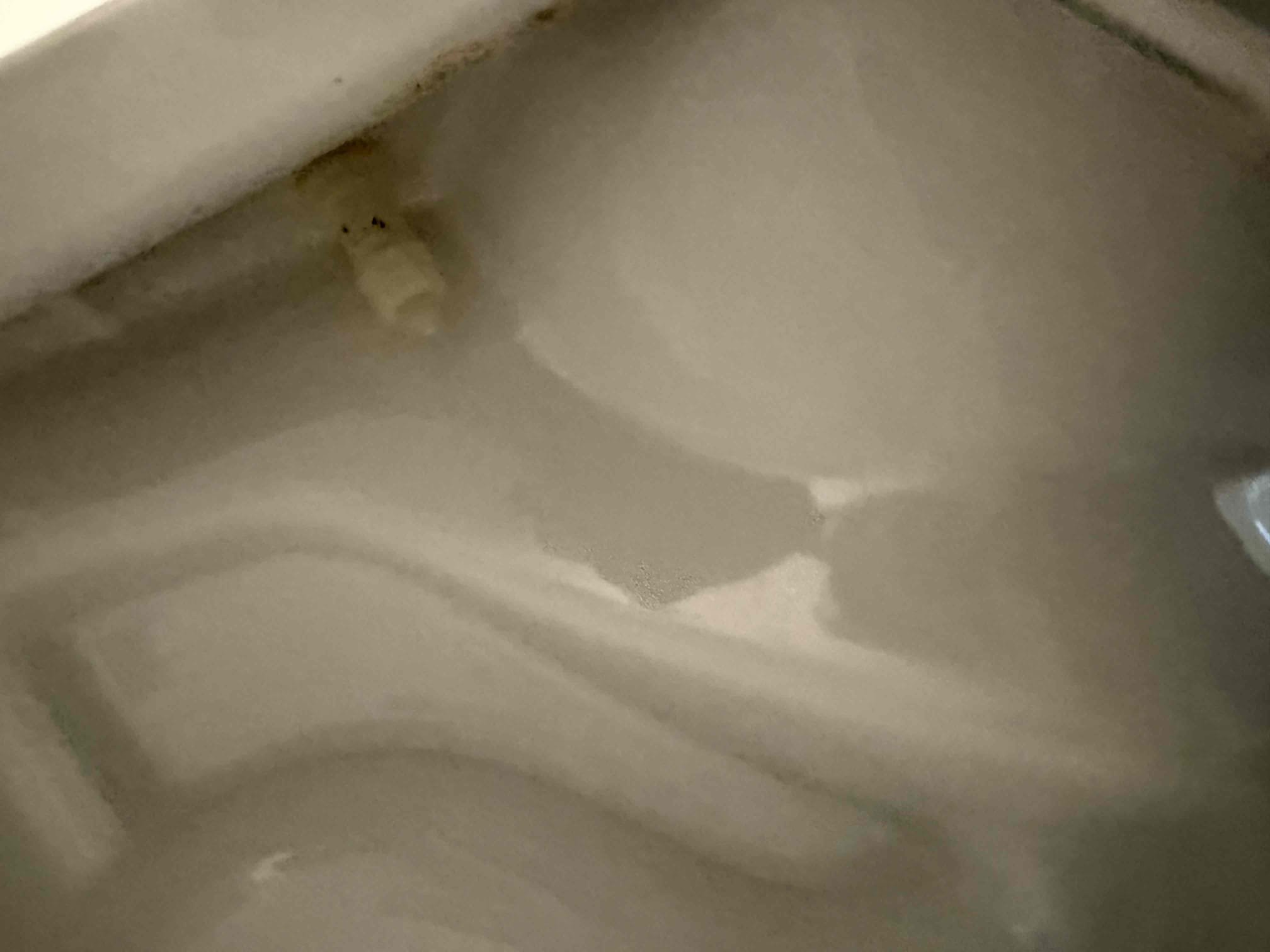 Customers toilet seat was loose. Unloosed toilet seat. Cleaned and reset seat. Checked pressure and found pressure to be at 150 PSI. Options to replace PRV and install thermal expansion tank. Customer did not want to do work at this time. Showed tenant secured toilet seat. 