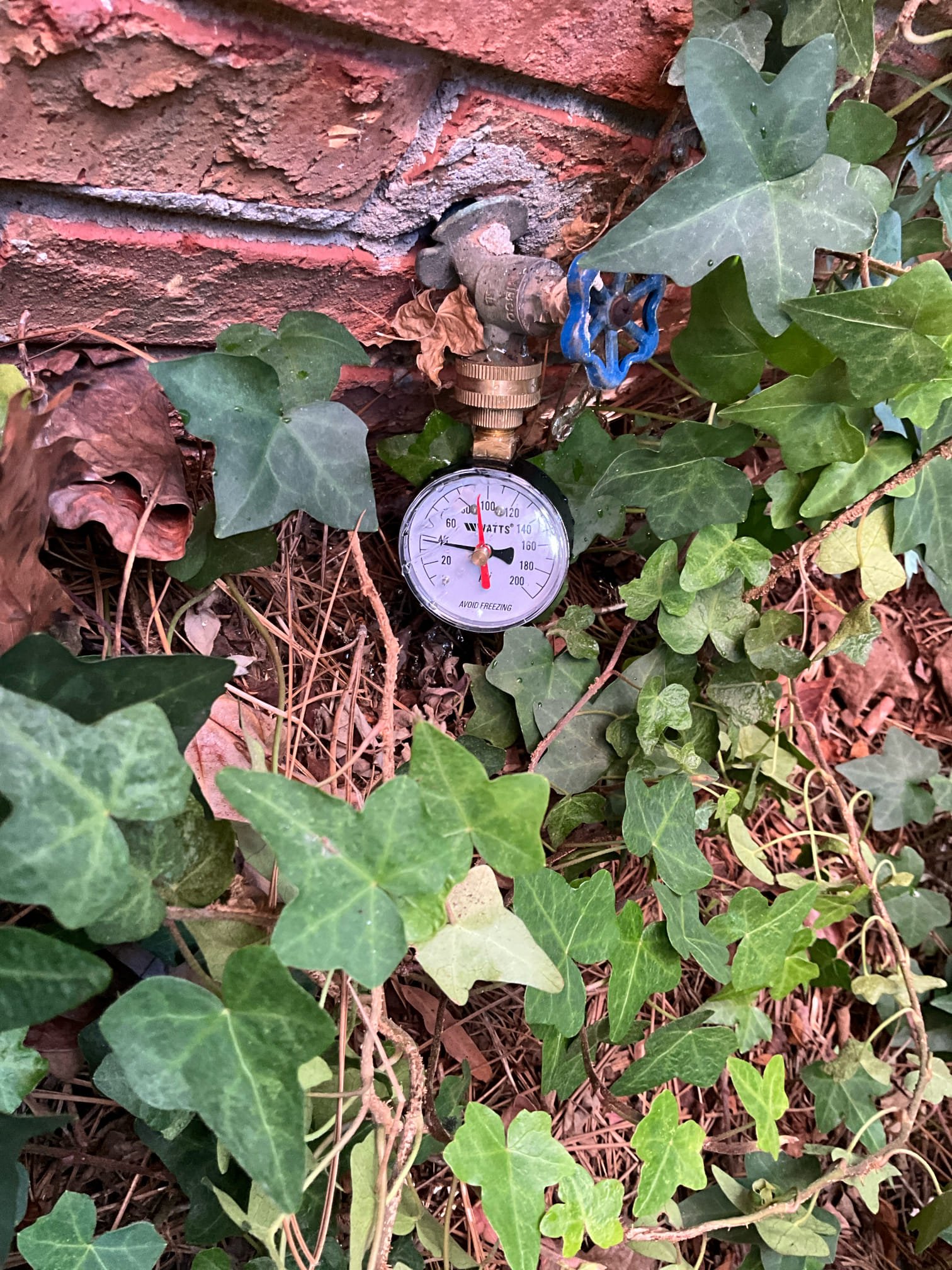 Service Call Summary – Vibrations from Water Pipes
Date: 10 December 2025
Customer: Rock & Mrs. Payne
Technician: Shawn

Customer Concern
Customer reported vibrations/noises coming from the water pipes throughout the home that have worsened over the past 1–2 years.

Findings


Pressure Regulating Valve (PRV)

Existing PRV manufactured in 2012 (13 years old)
Incoming static pressure drops to ~35 psi (low), but builds to excessive pressure overnight
Classic symptom of a failing/diaphragm-deteriorated PRV


Water Heater

Manufactured September 2011 (14 years old)
Significant sediment buildup causing audible percolation/boiling noises during heating cycle
No leaks observed at this time
No thermal expansion tank installed (required when a PRV is present)


Toilets

Upstairs hall bathroom: Toilet running due to soap dispenser physically blocking the flapper
Master bathroom: Fill valve failed and allowing tank to continuously run (common secondary symptom of fluctuating pressure from bad PRV)