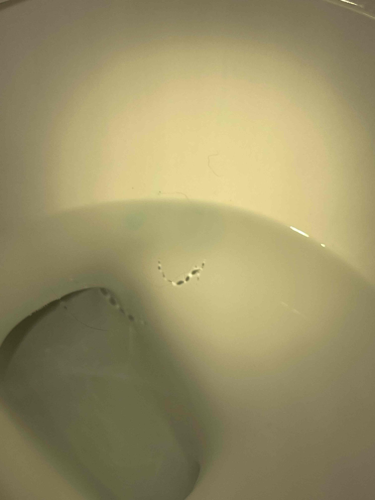 Kitchen faucet leaking out the handle. Customer had new faucet to install, same model. Upstairs toilet had a bad gasket for the flush valve. Confirmed with a dye test. Purchased proprietary part and replaced gasket and fill valve. Re did dye test after installing parts and this corrected the ghost flushes. Replaced pop up on downstairs sink with part customer provided. Tested to ensure proper function and a leak free install. 