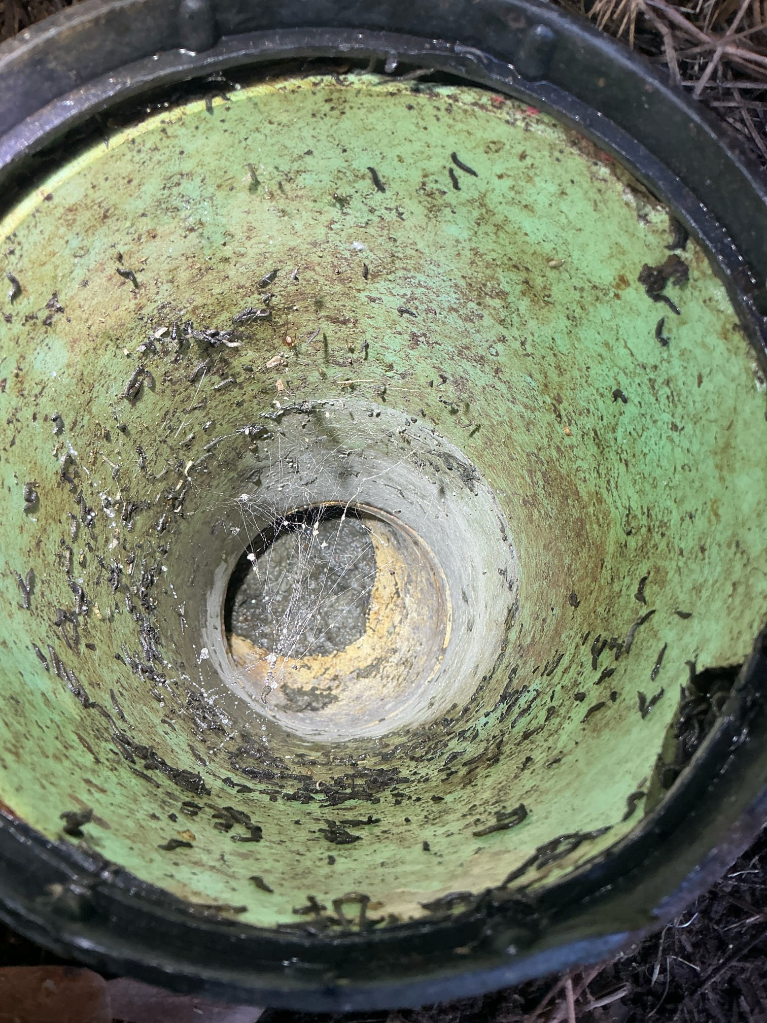 Client called us out due to the fixtures in the basement backing up when a lot of water was used. Client has a city sewer cleanout out in the front yard by the road, and all these years have thought they were on city sewer. We pulled up the basement toilet and ran sewer camera. It took me out the back of the home, right under the concrete pad patio, where there are two 6” cleanouts just to the side of, that are full of poo and such. It turns out, client is actually on a septic system instead of sewer. After pulling toilet we saw the flange was not the correct flange for the pipe, so we replaced that flange with proper, then reset the toilet with new bolts and beauty caps, as well as new toilet supply line. After testing, we caulked around the base of the toilet. 
Client will need to call a septic company to further resolve this issue.


Metro septic  678-873-7934